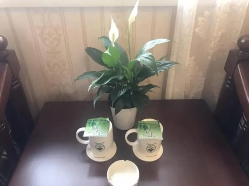 GreenTree Inn Ziyang Lezhi Government Tianchi Town Express Hotel