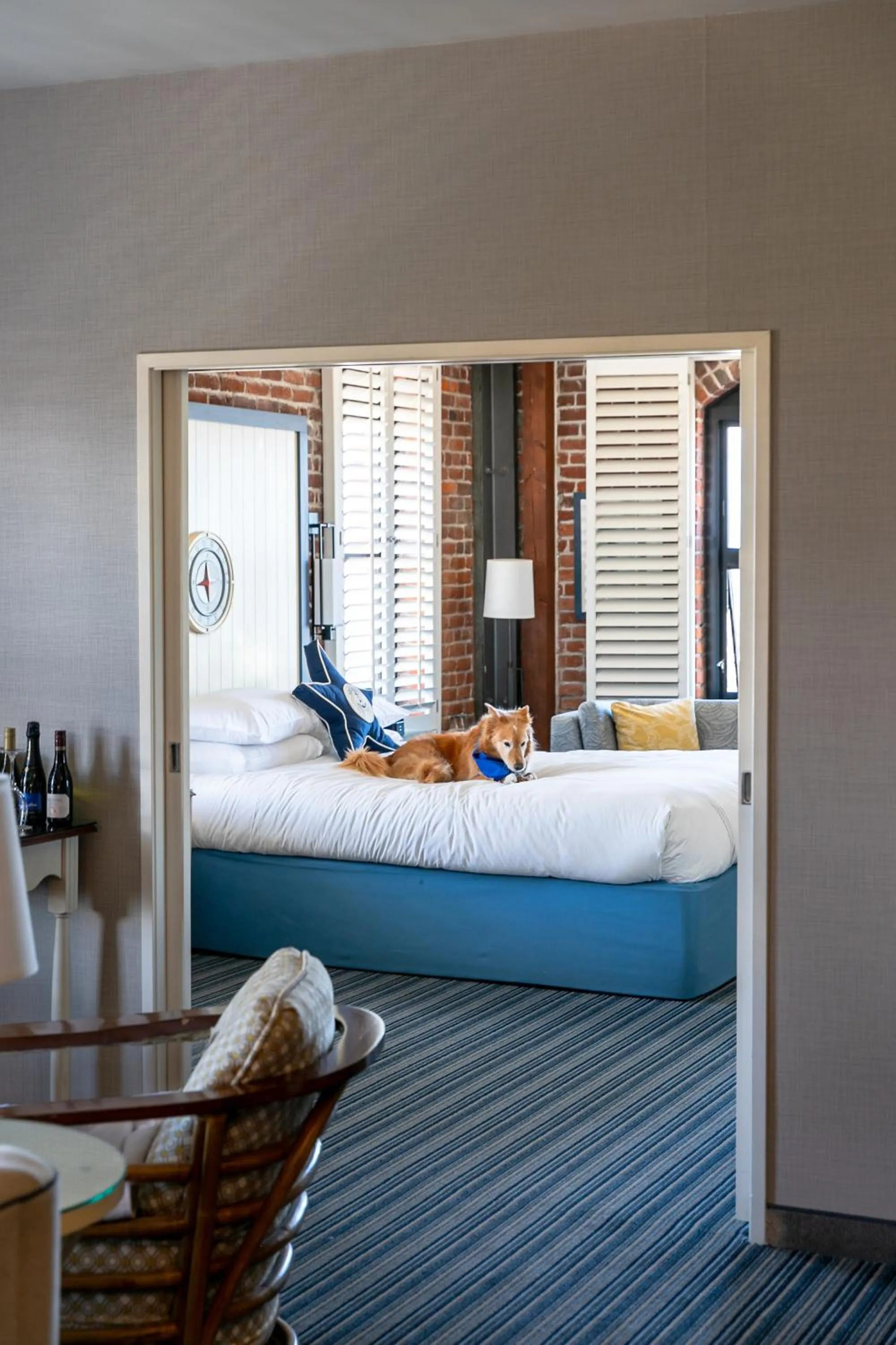 Pets, Bed in Argonaut Hotel, a Noble House Hotel