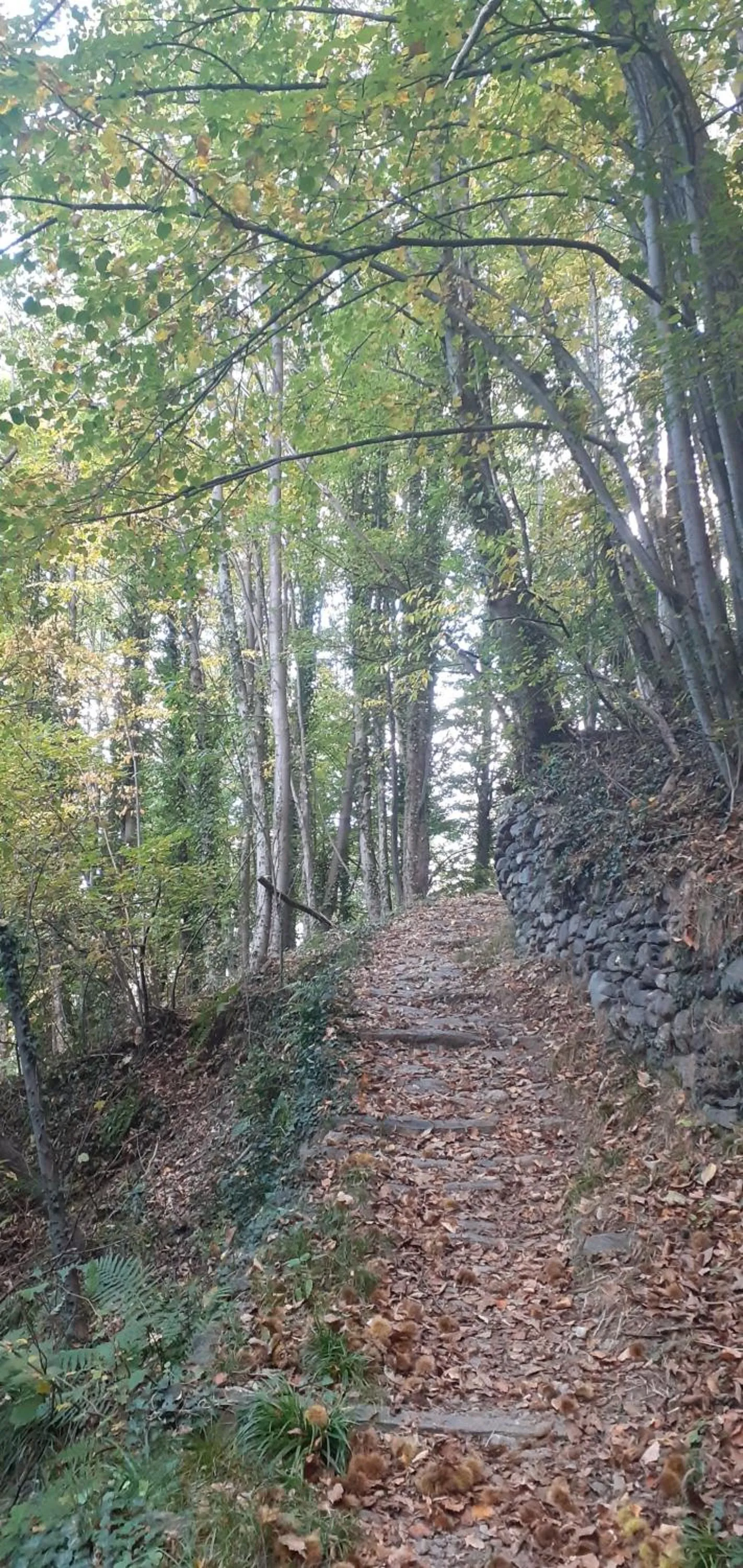 Natural landscape in A casa di Lara