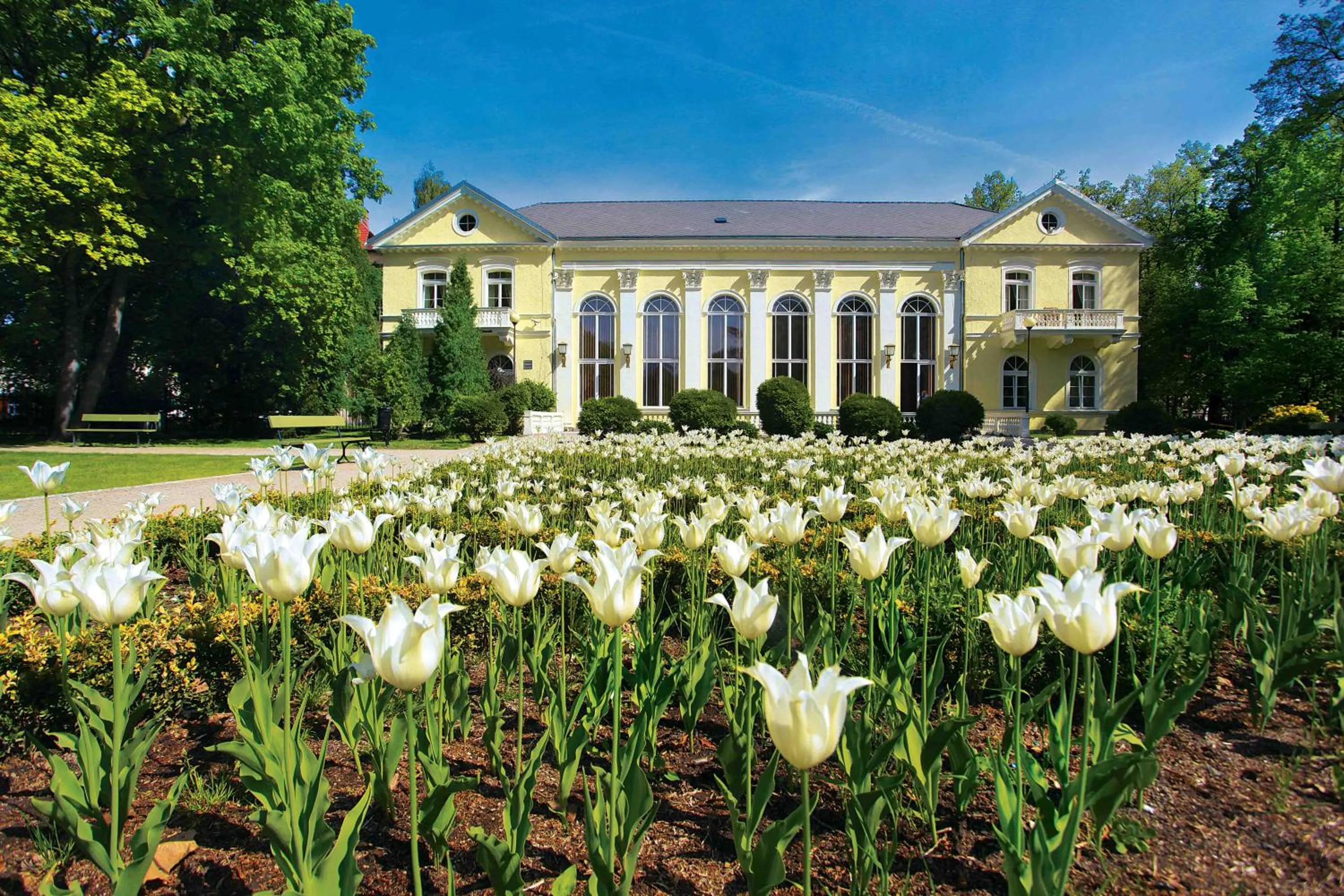 View (from property/room) in Piastowski26