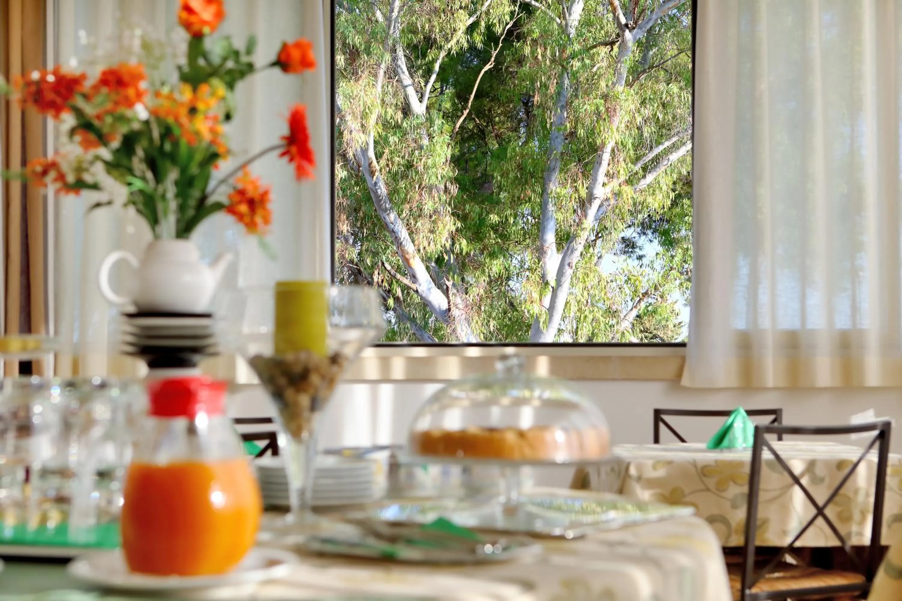 Non alcoholic drinks in Hotel La Campana