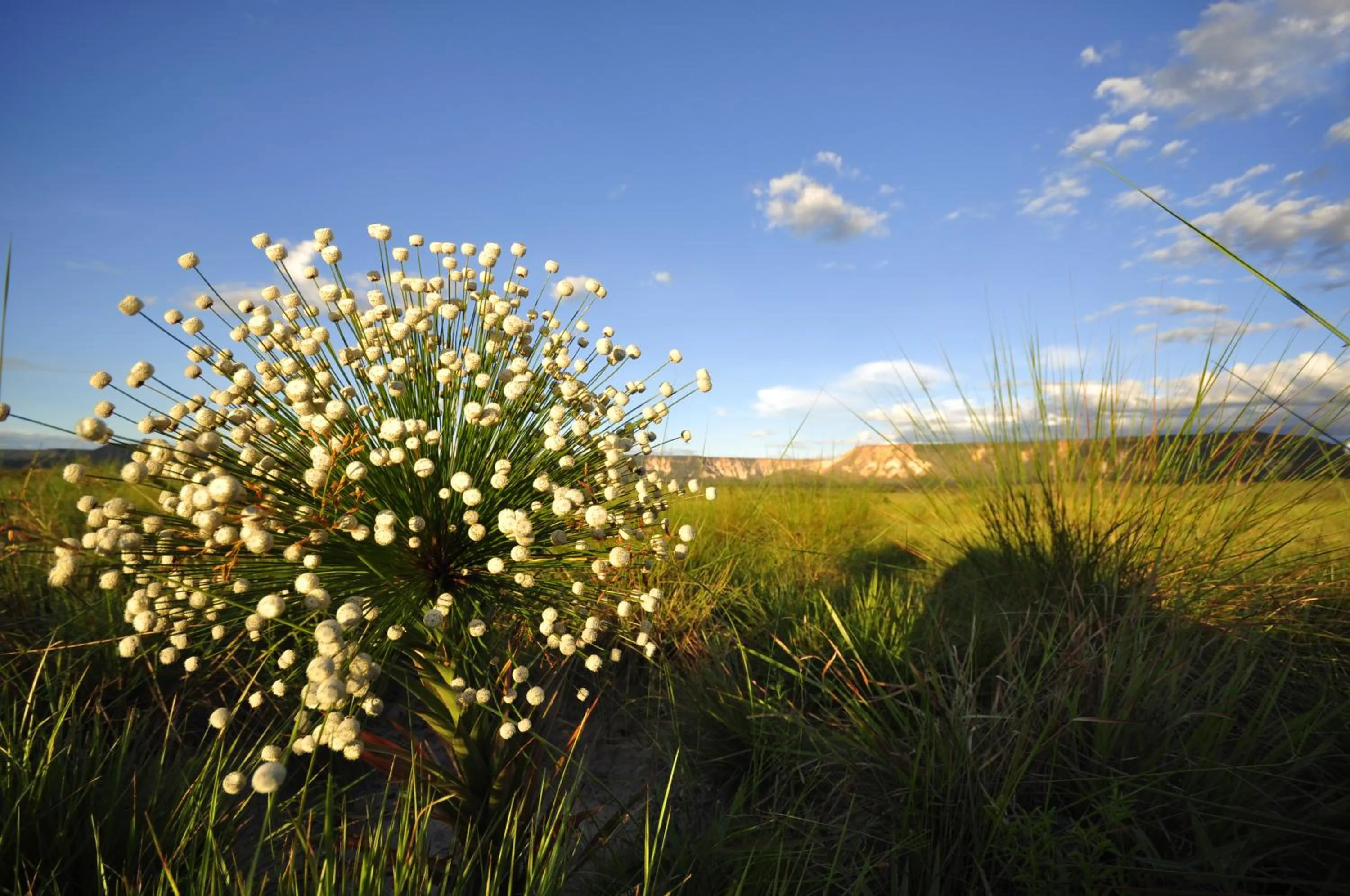 Area and facilities in Jalapão Hotel