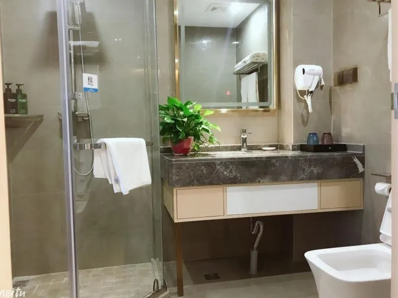 VX Hefei Lianhua Road Hotel