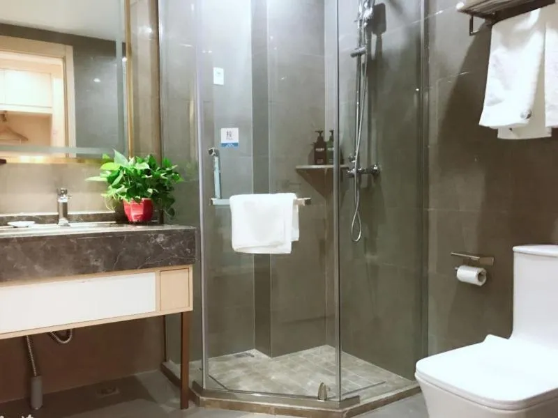 VX Hefei Lianhua Road Hotel