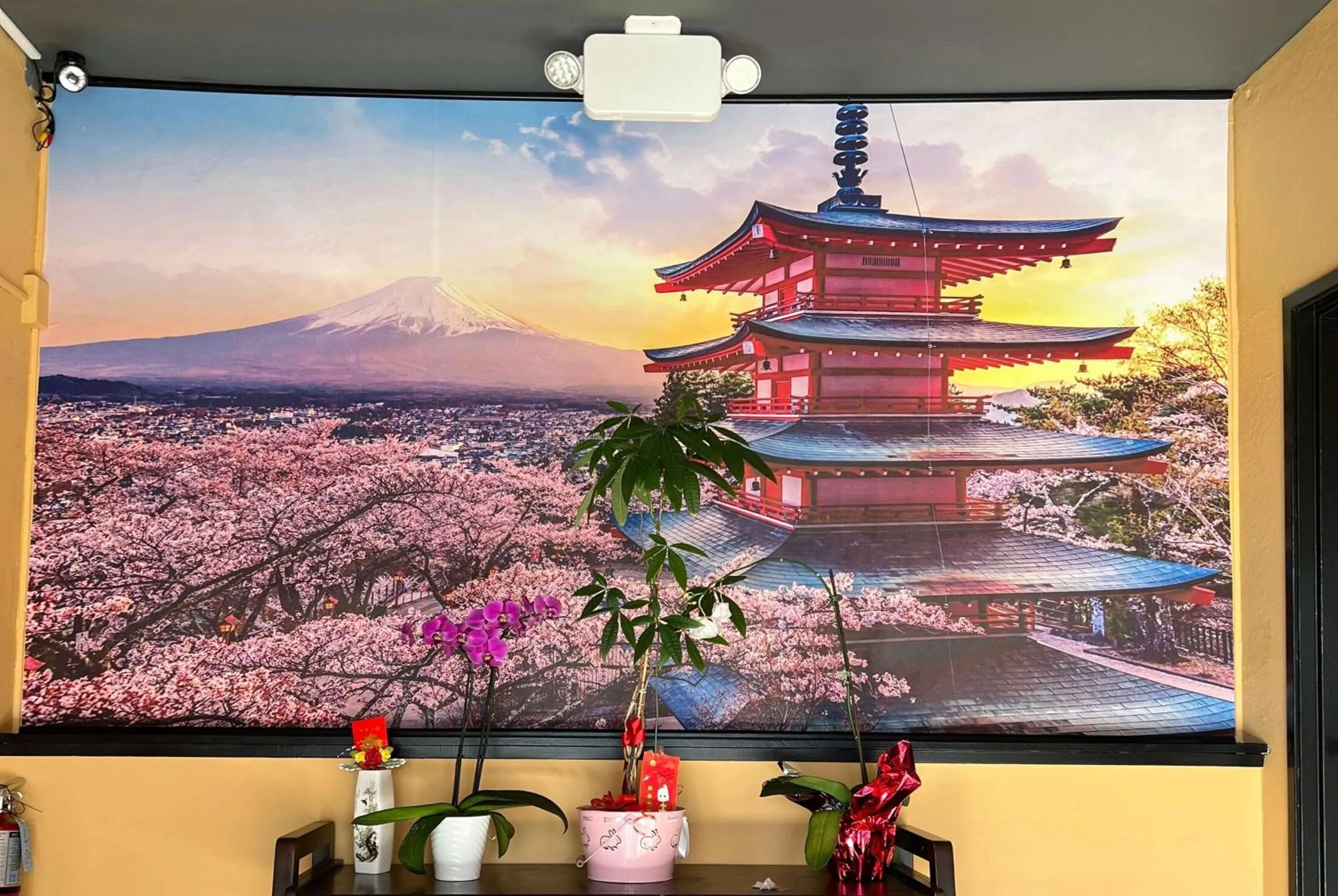 Restaurant/places to eat in La Quinta by Wyndham San Francisco Airport West Millbrae FREE AIRPORT SHUTTLE