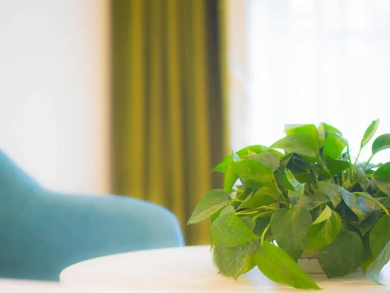 VaticaTianjin Jinnan South International Exhibition Center University Town Yongwang Plaza Hotel