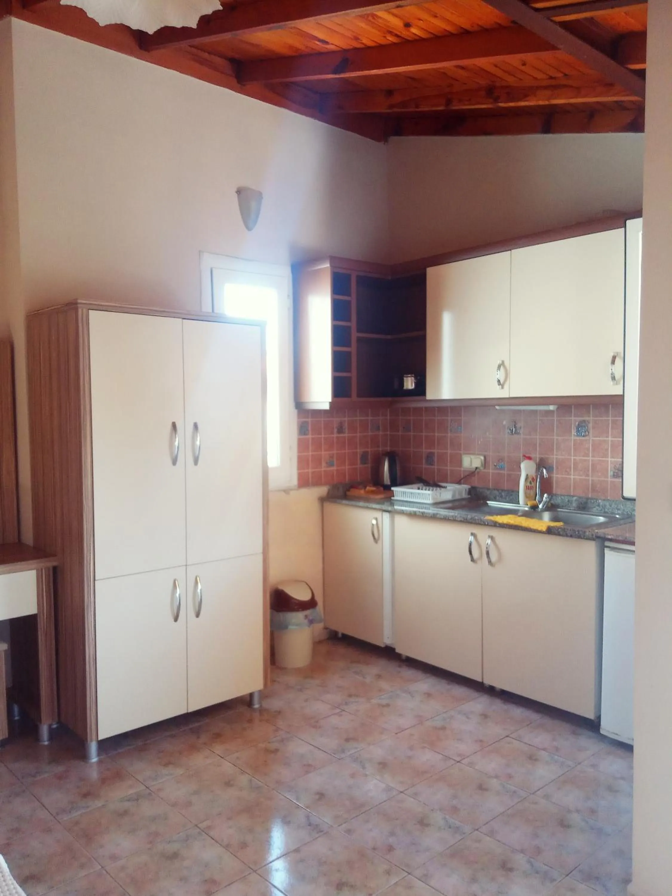 Kitchen or kitchenette in Dove Apart Hotel