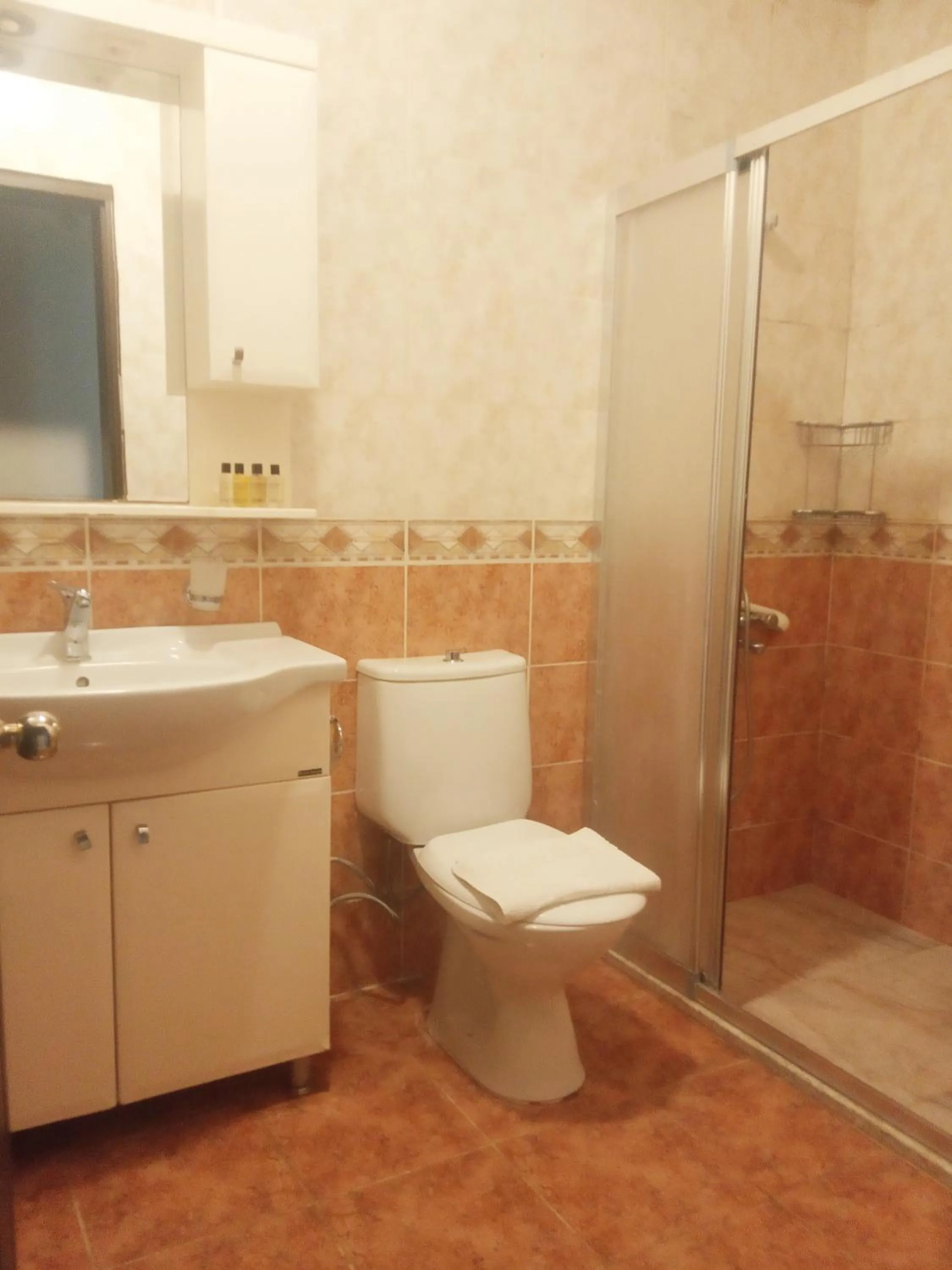 Bathroom in Dove Apart Hotel