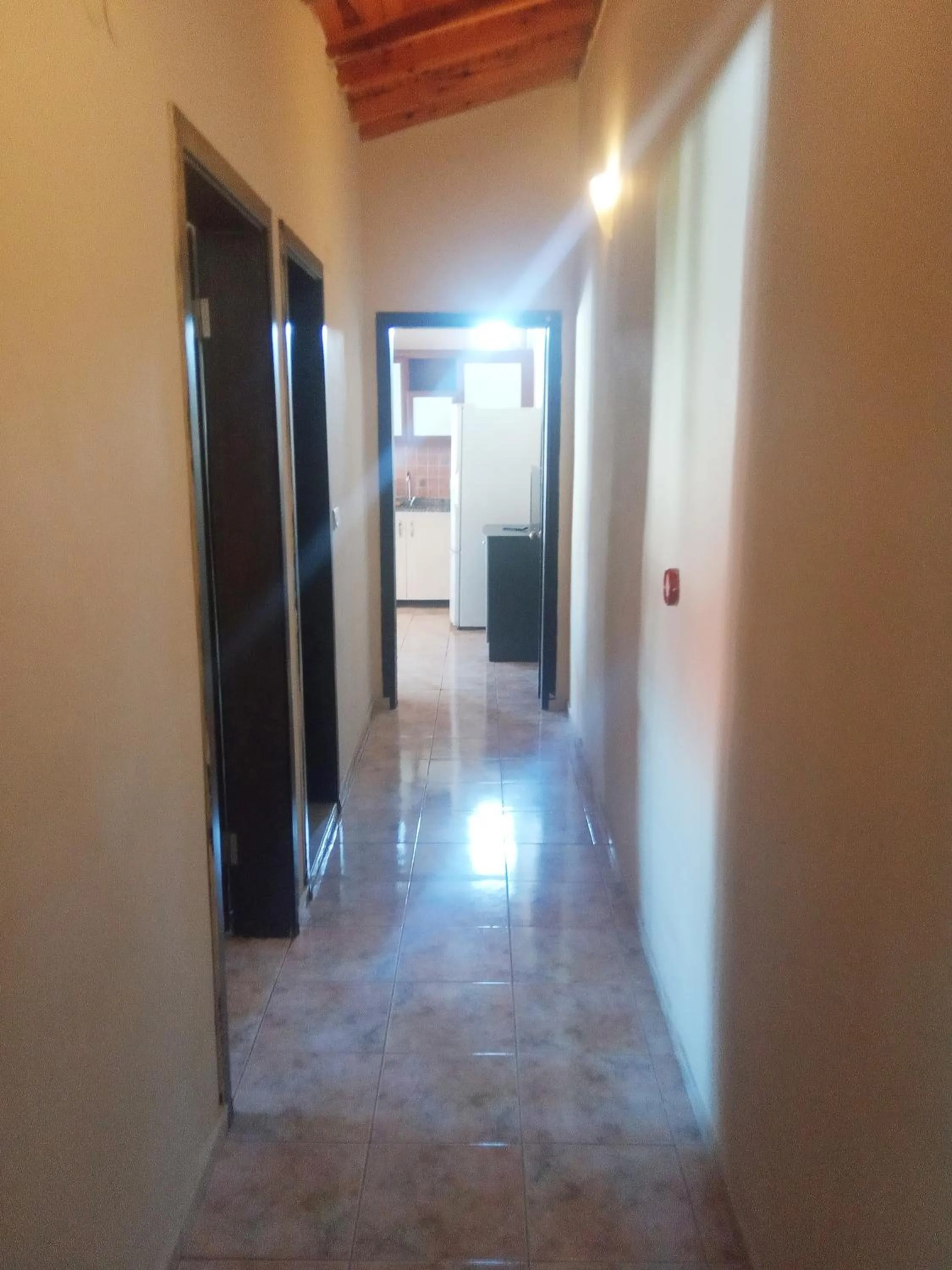 Photo of the whole room in Dove Apart Hotel