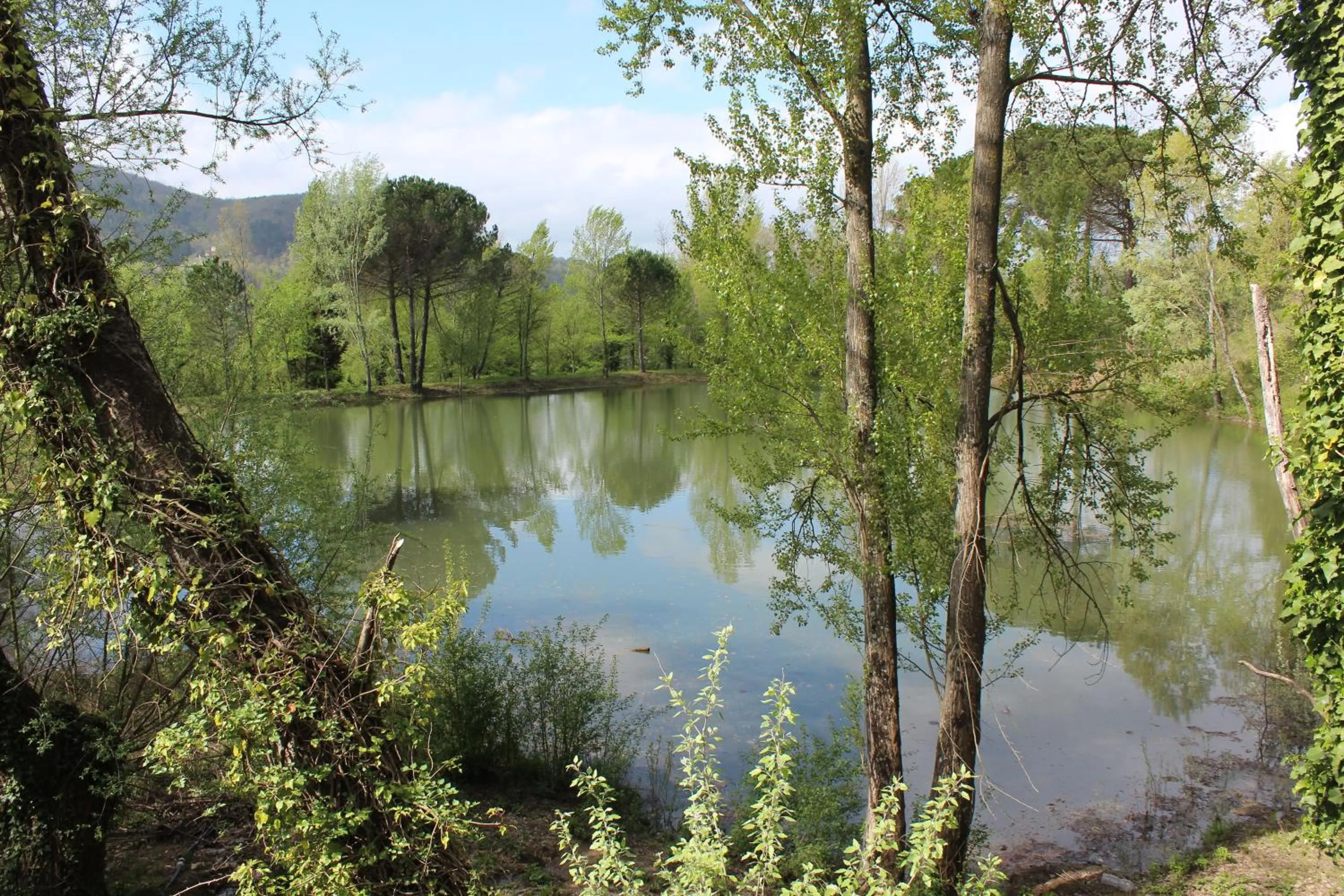 Natural landscape in Borgo I Vicelli Adults Only Relais