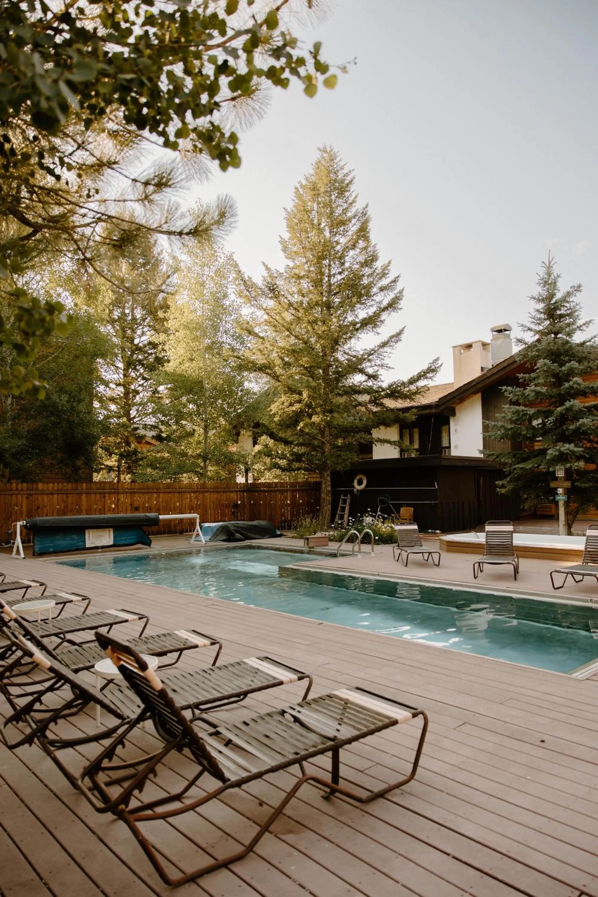 Swimming pool in The Alpenhof