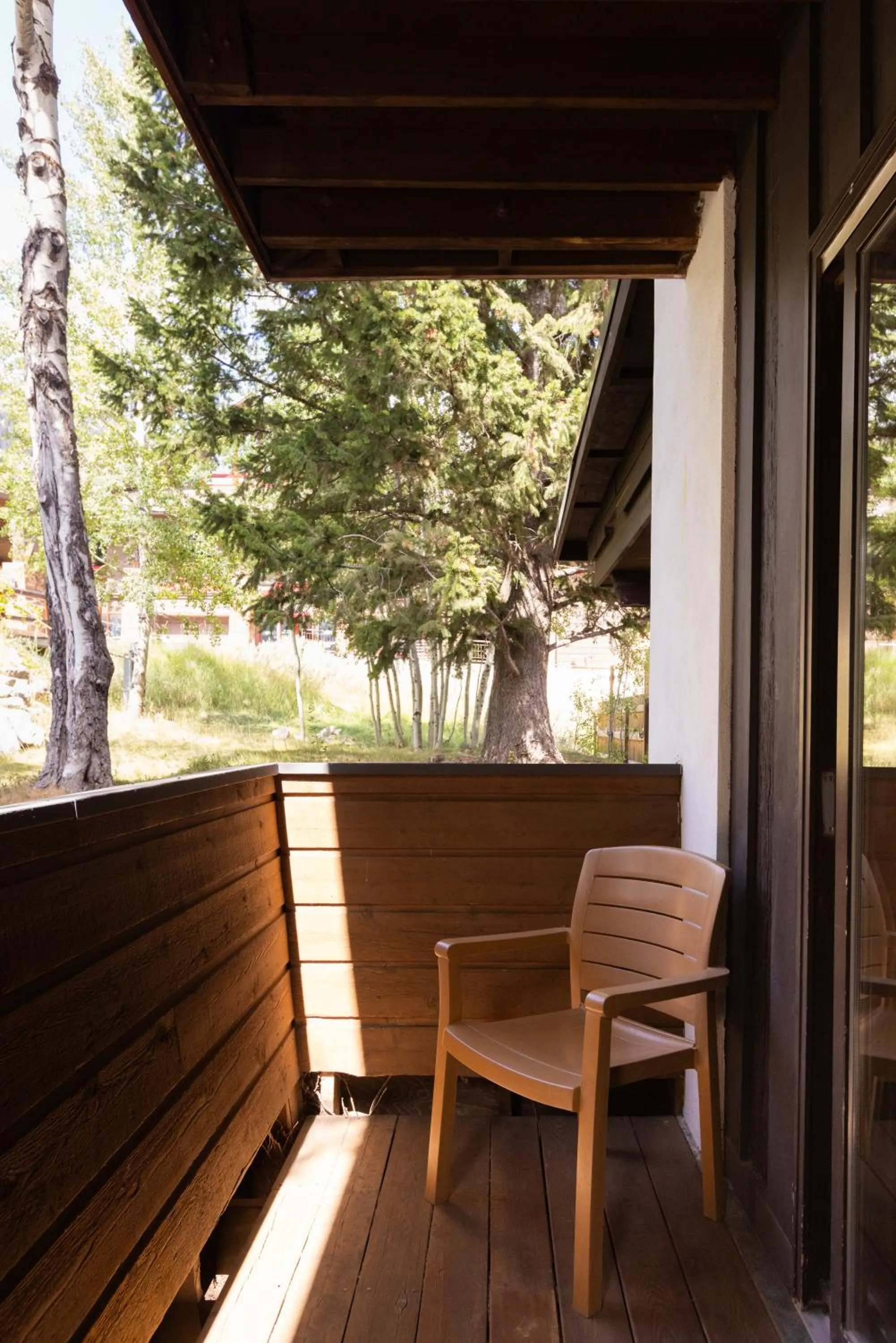 Balcony/Terrace in The Alpenhof