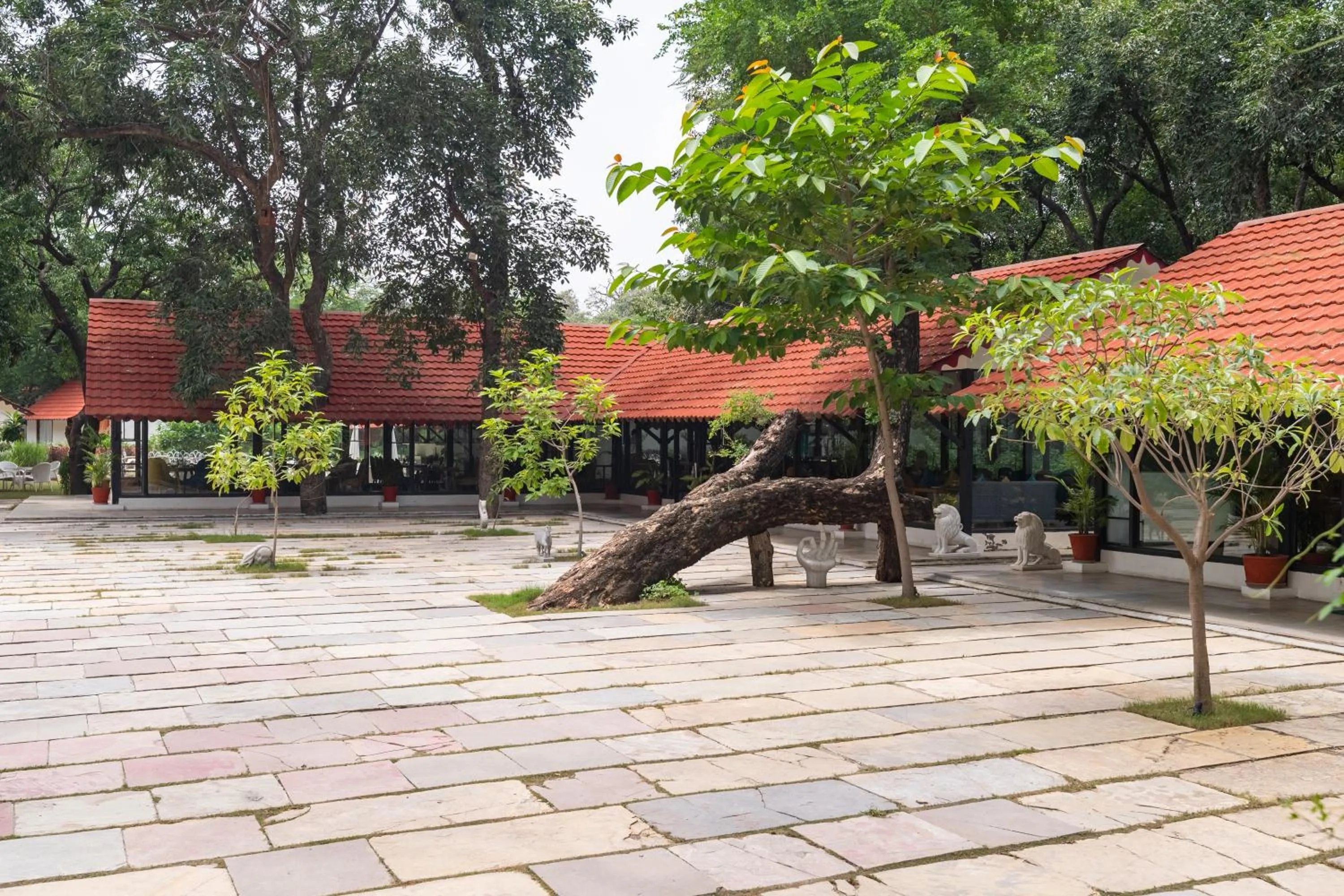 Property building in Aranya Vilas - A Nature Resort