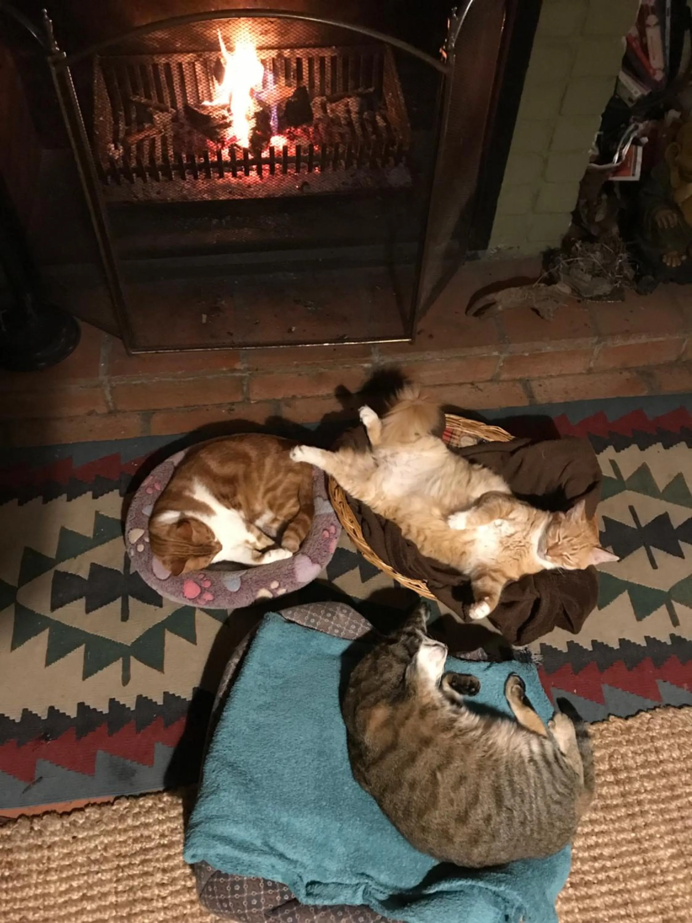 Lounge or bar in Old Joe's Kaia