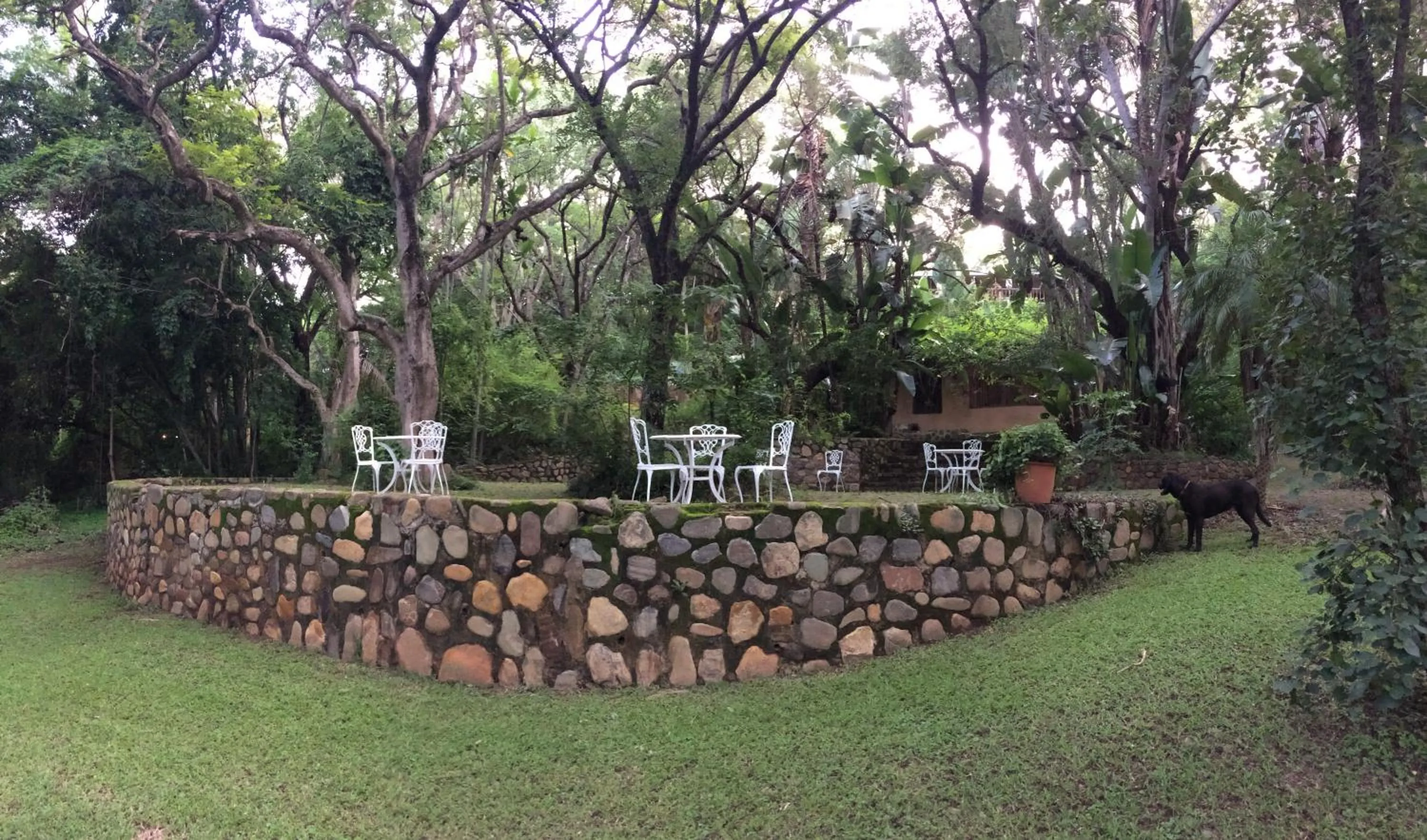 Garden in Old Joe's Kaia