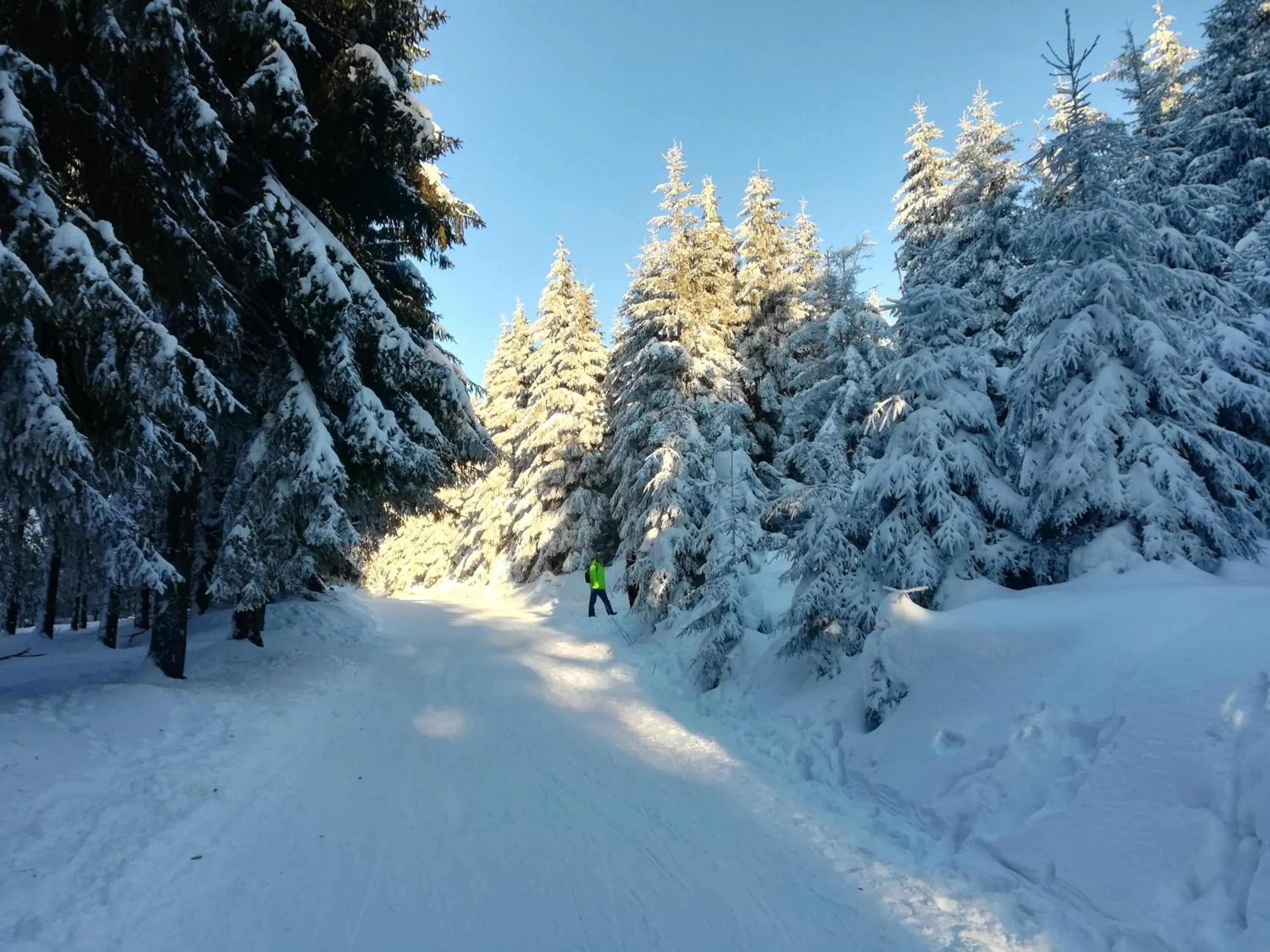 Natural landscape in Haus Linde Frauenwald am Rennsteig