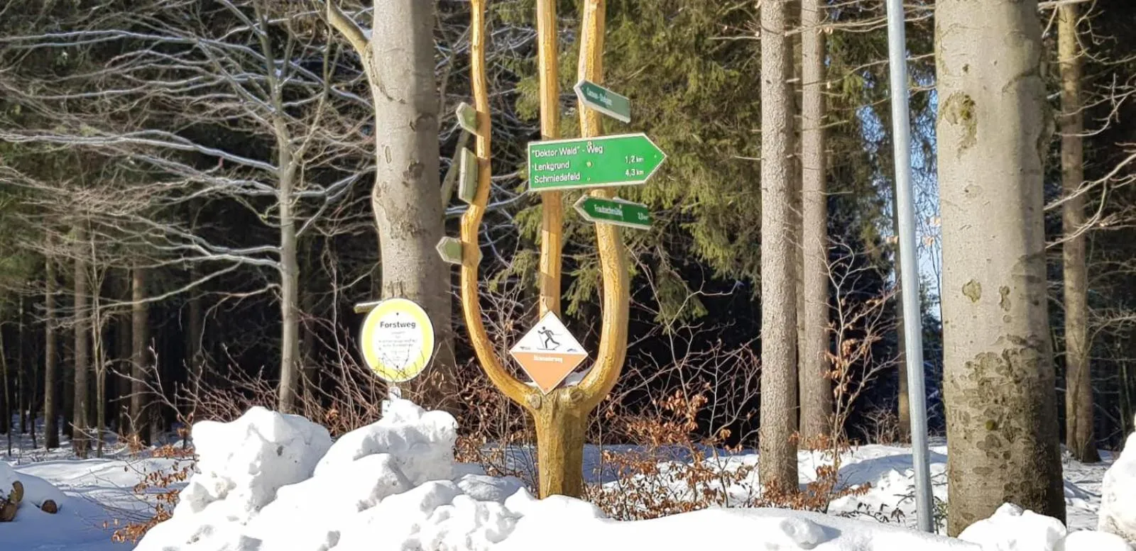 Natural landscape in Haus Linde Frauenwald am Rennsteig