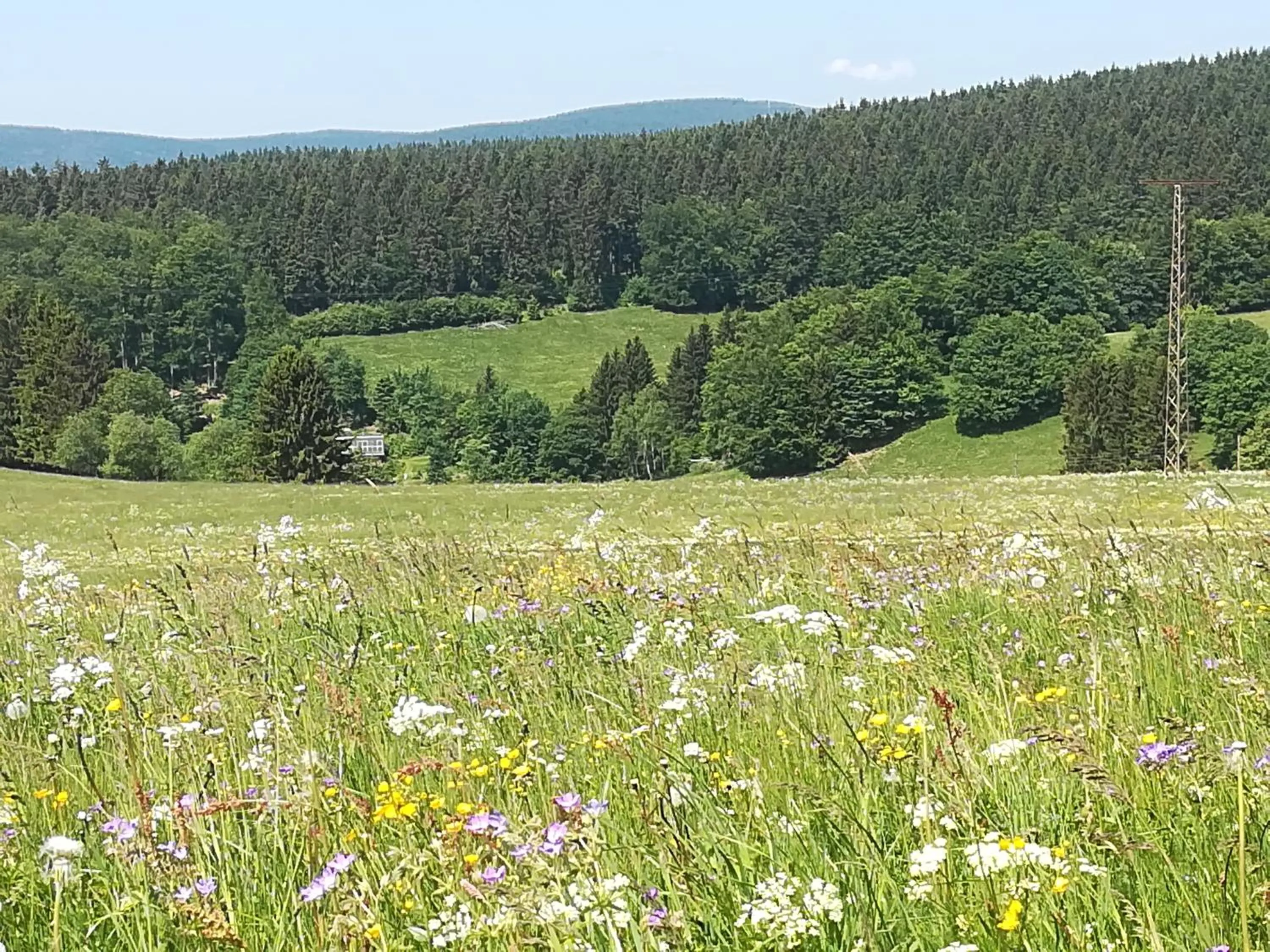Natural landscape in Haus Linde Frauenwald am Rennsteig