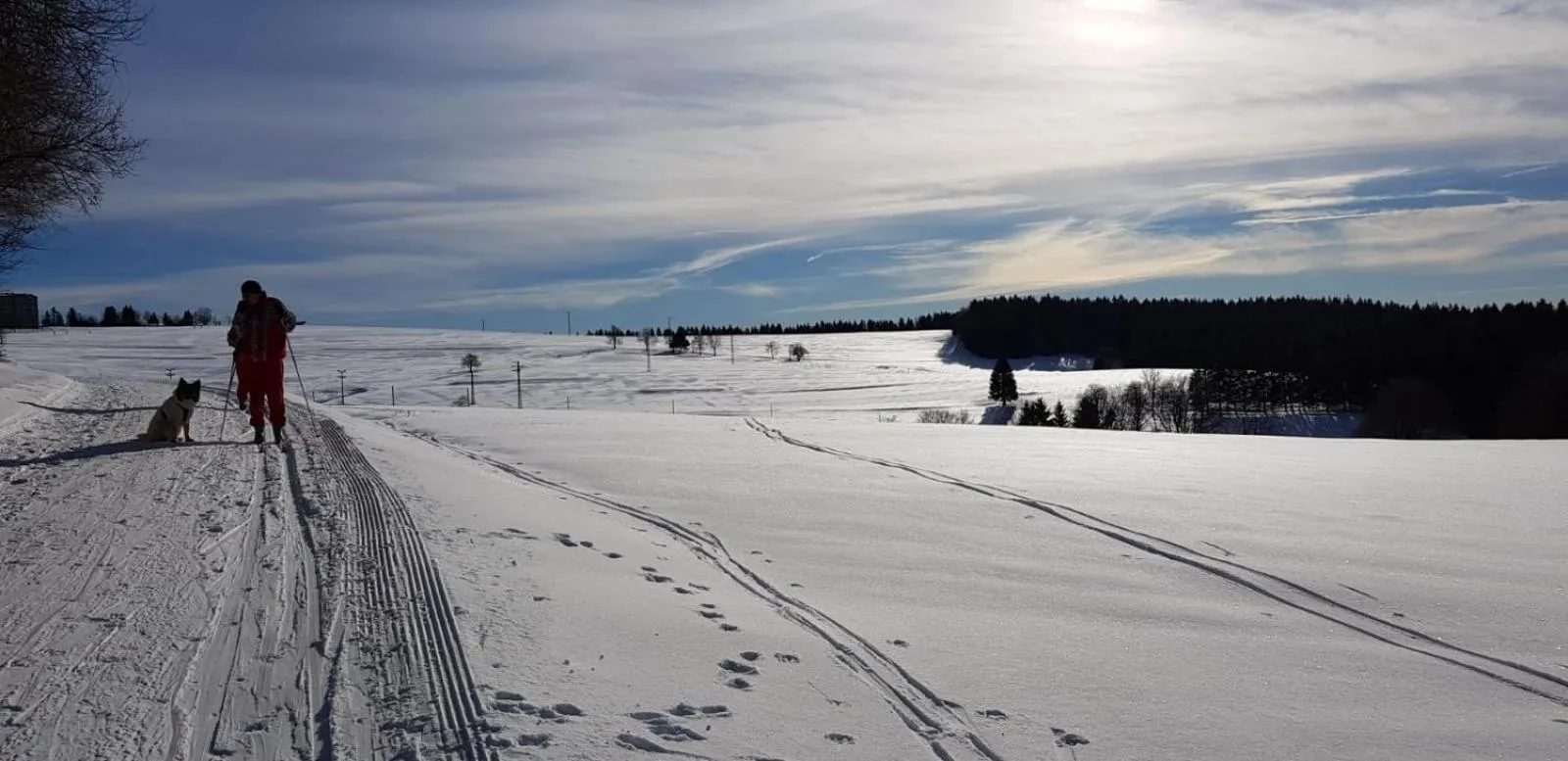 Activities in Haus Linde Frauenwald am Rennsteig