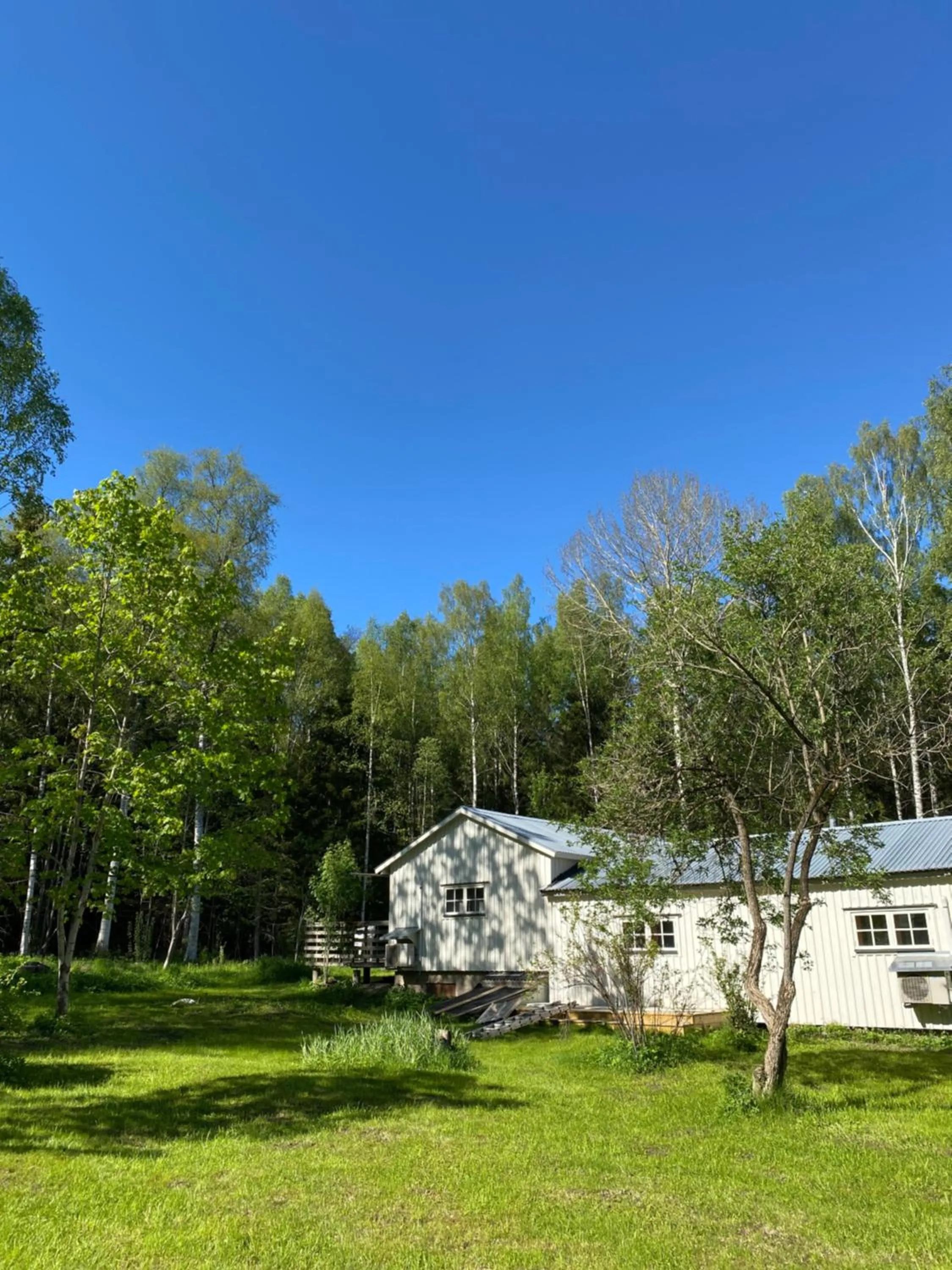 Garden in Bergsgården Hotell & Konferens