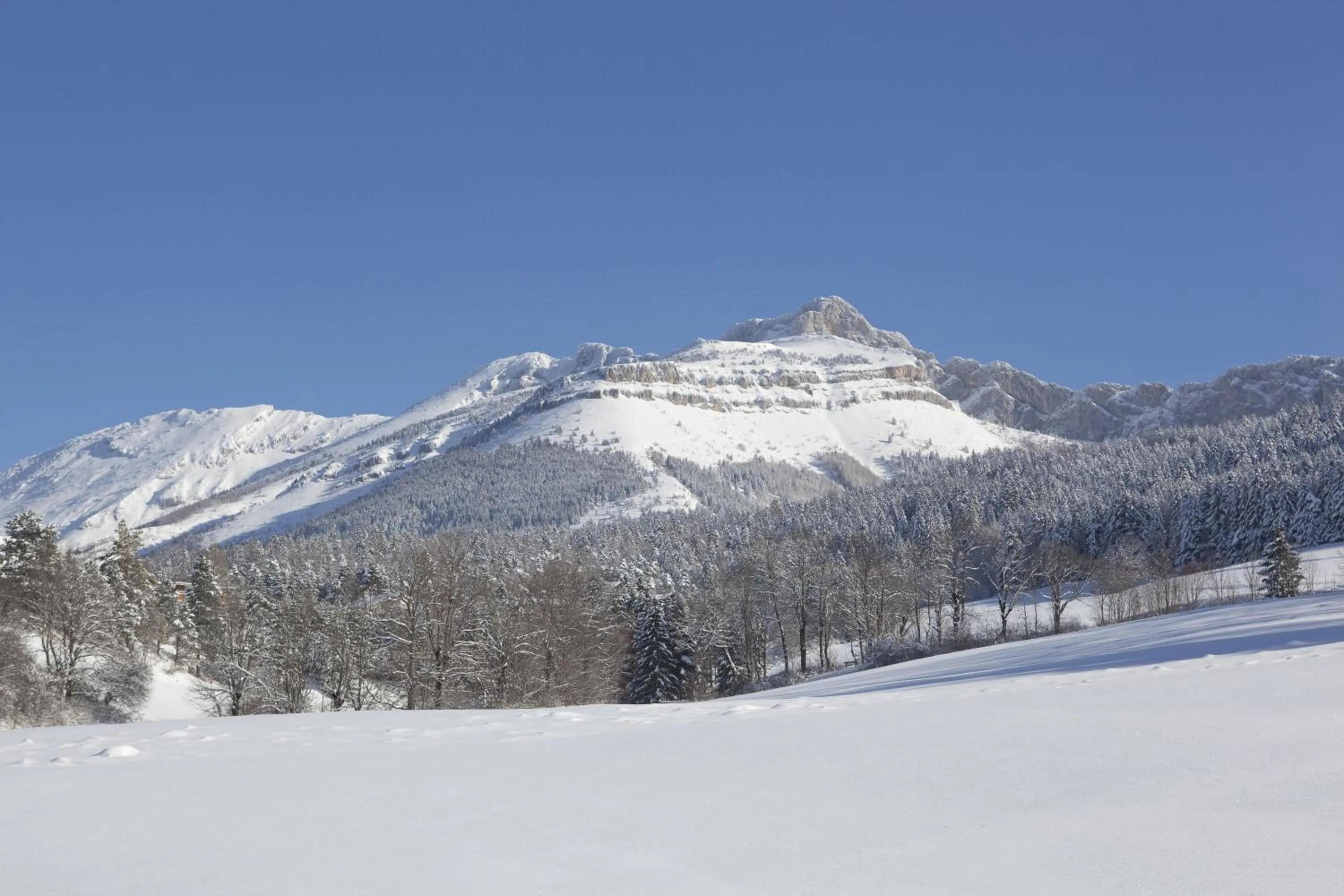 Winter in Hotel Christiania
