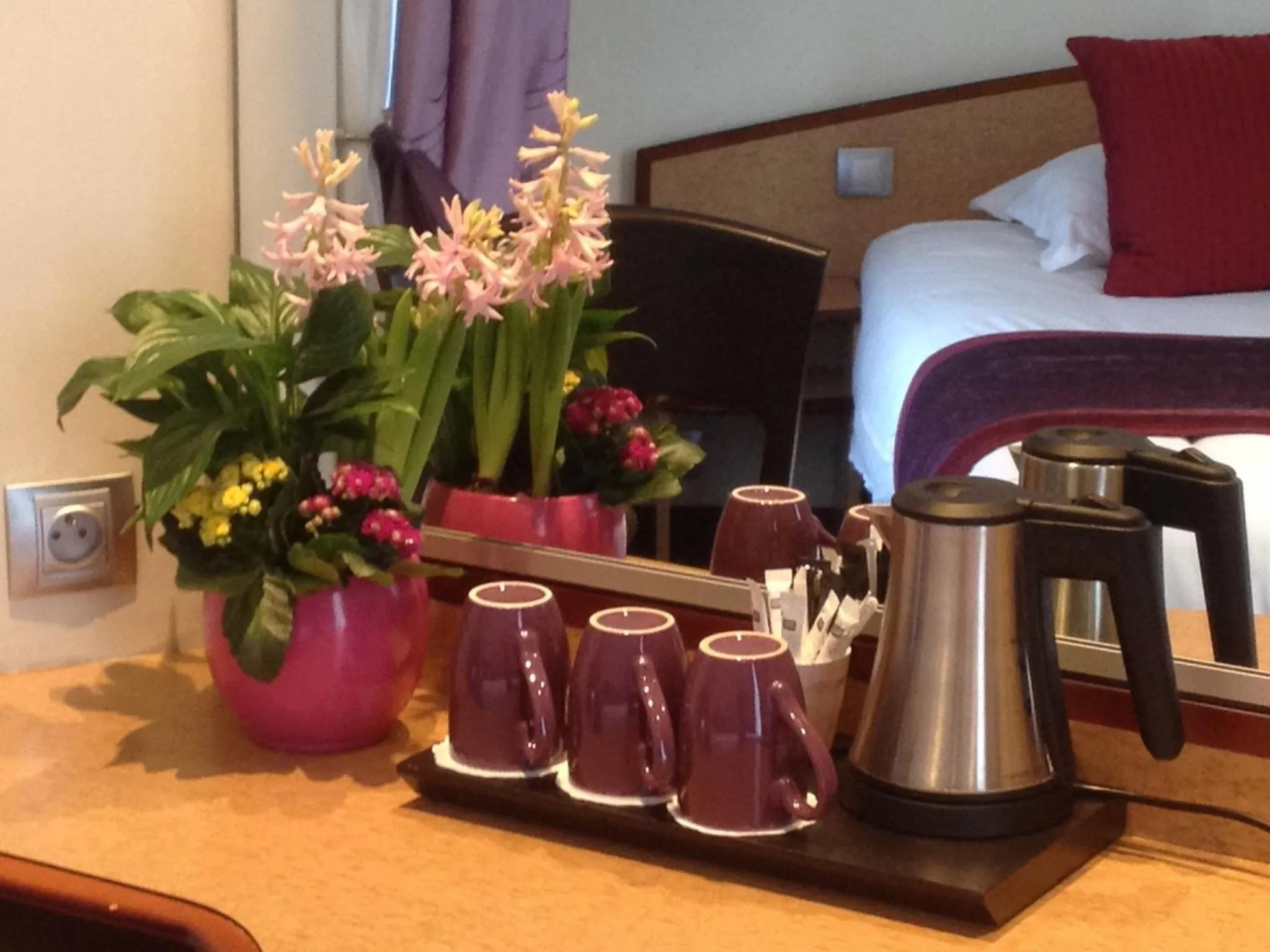 Coffee/tea facilities, Bed in Virgina