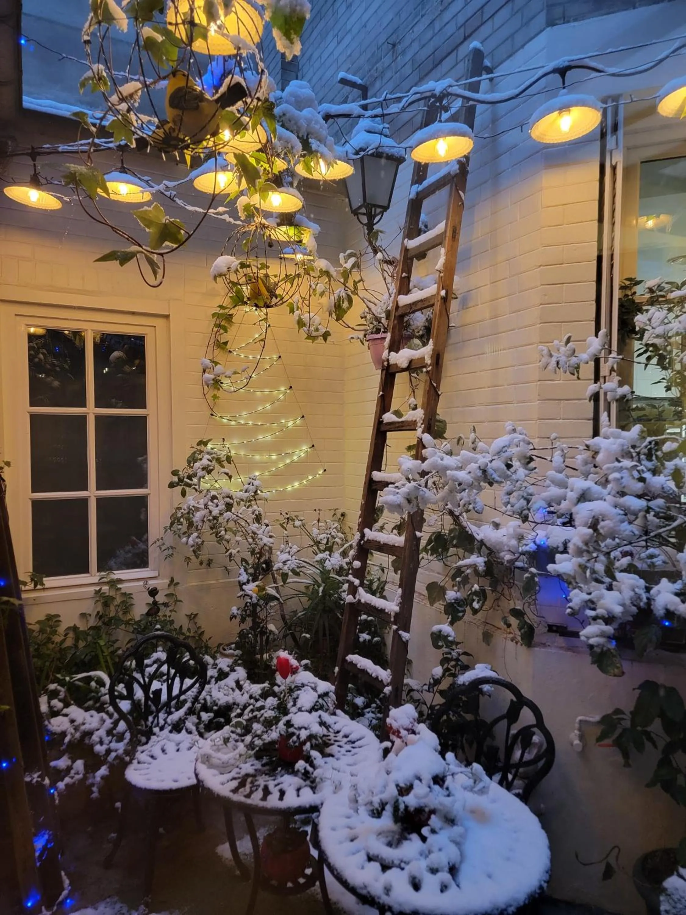 Restaurant/places to eat in Virgina