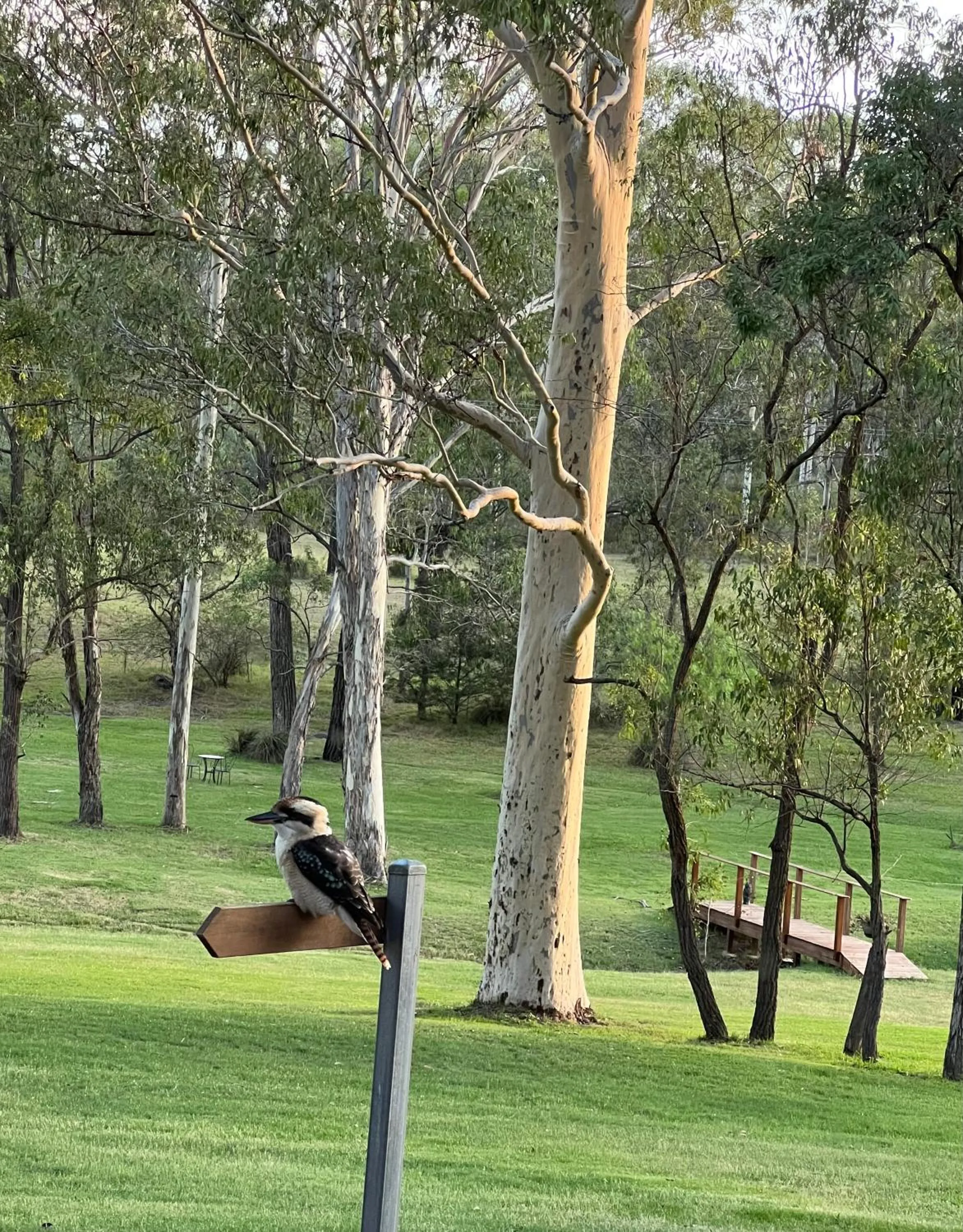 Natural landscape in Tuckers Lane Boutique Accommodation