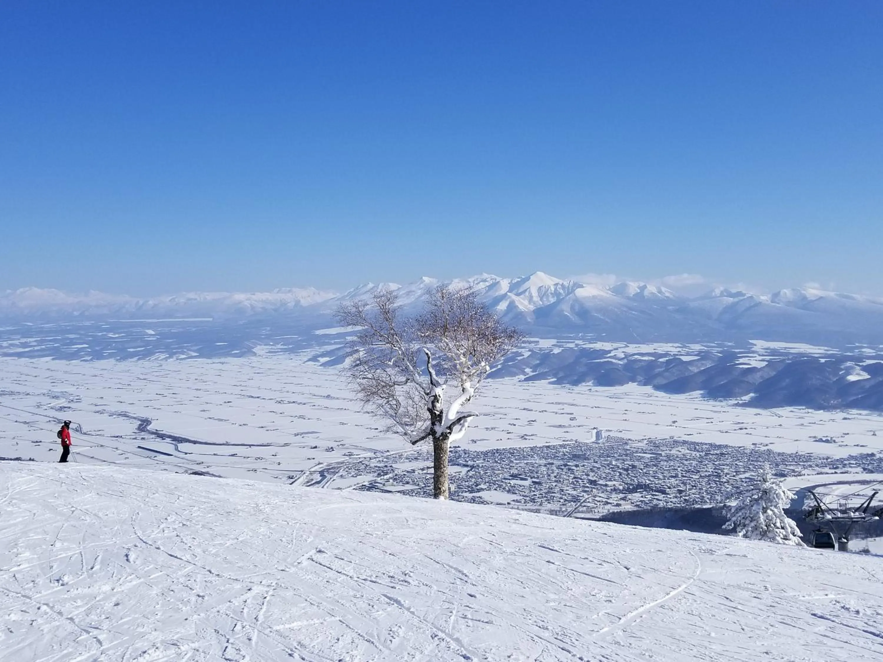 Winter in Donguri House