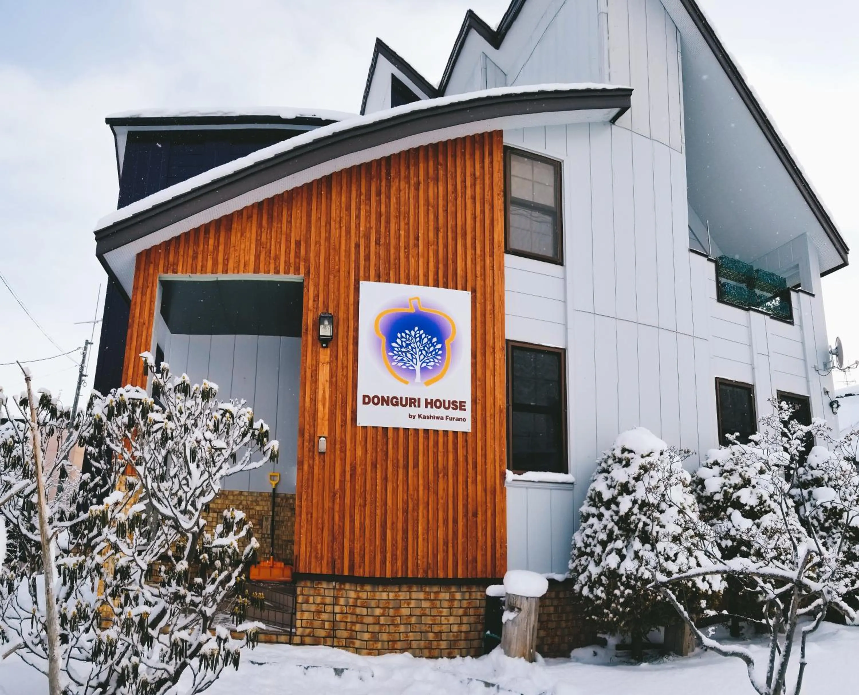 Property building in Donguri House