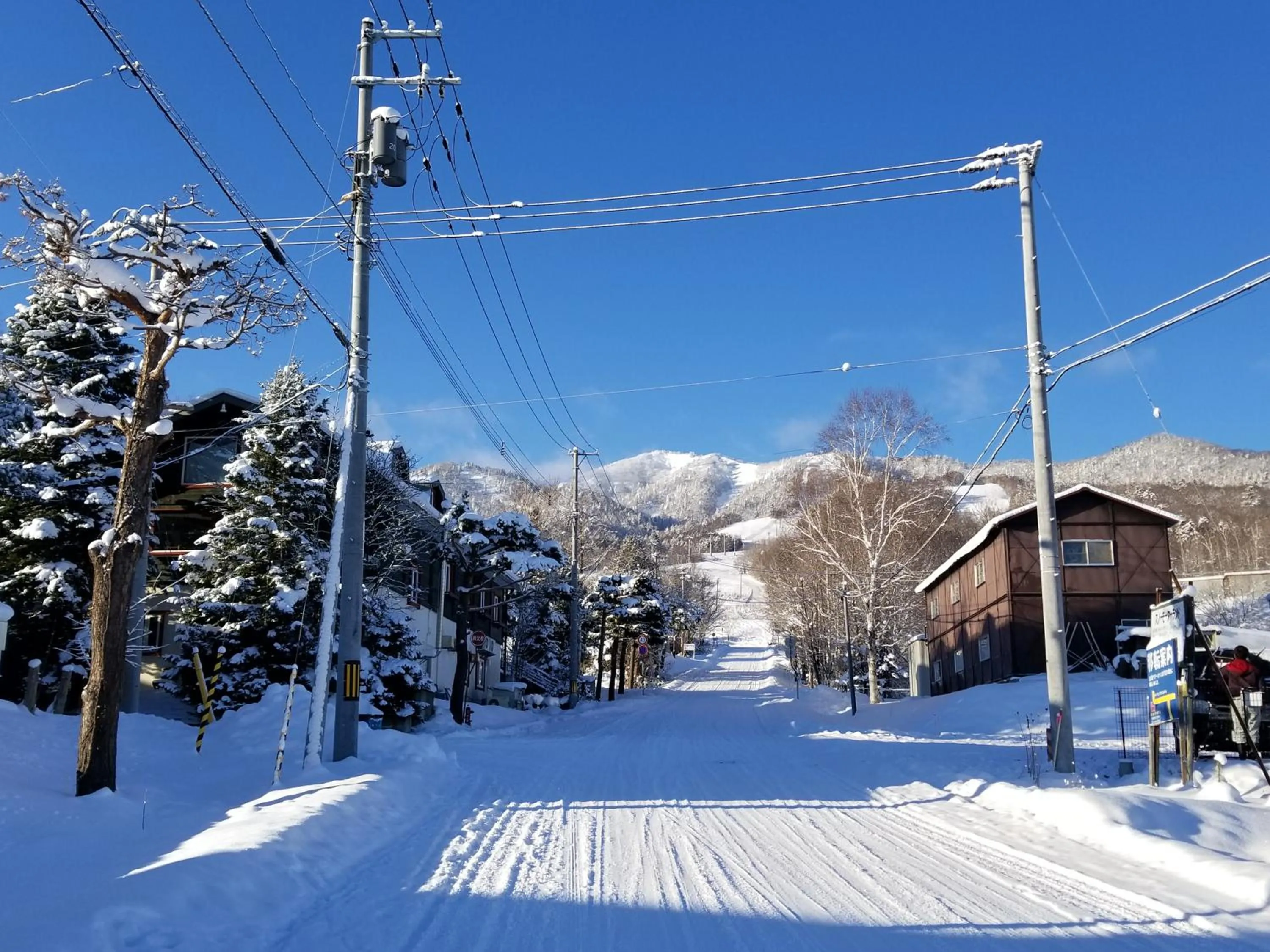 Nearby landmark in Donguri House