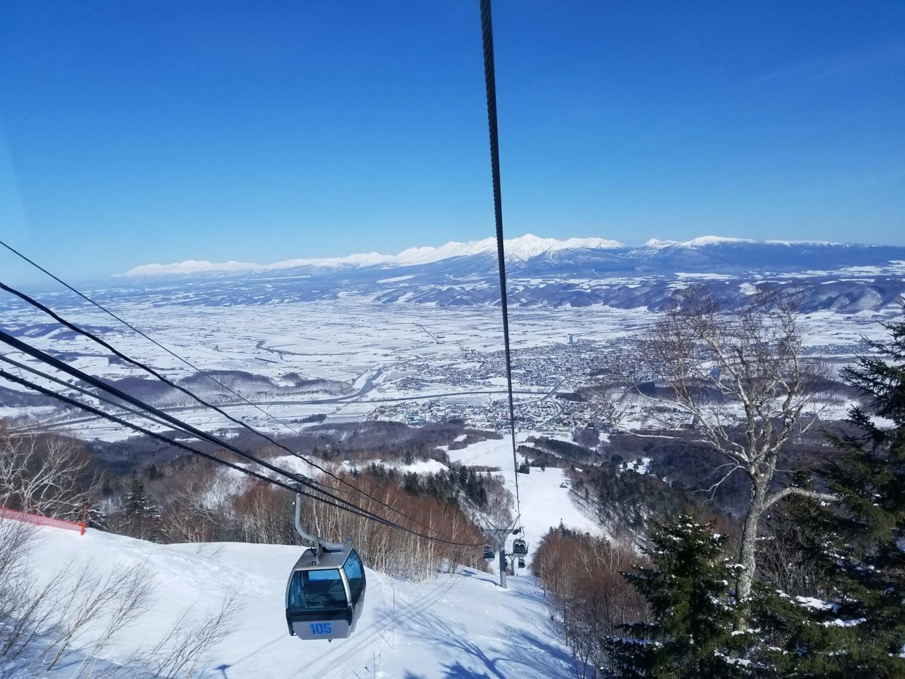 Winter in Donguri House