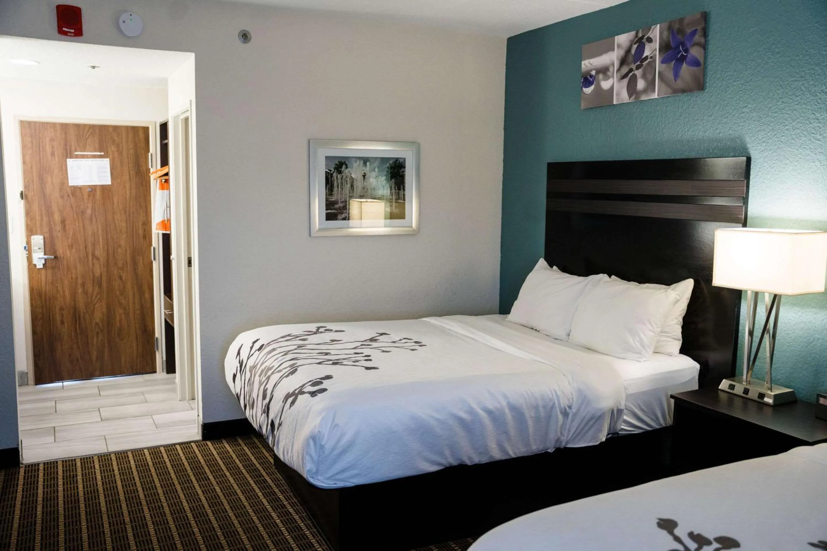 Bedroom, Bed in Sleep Inn & Suites West Knoxville