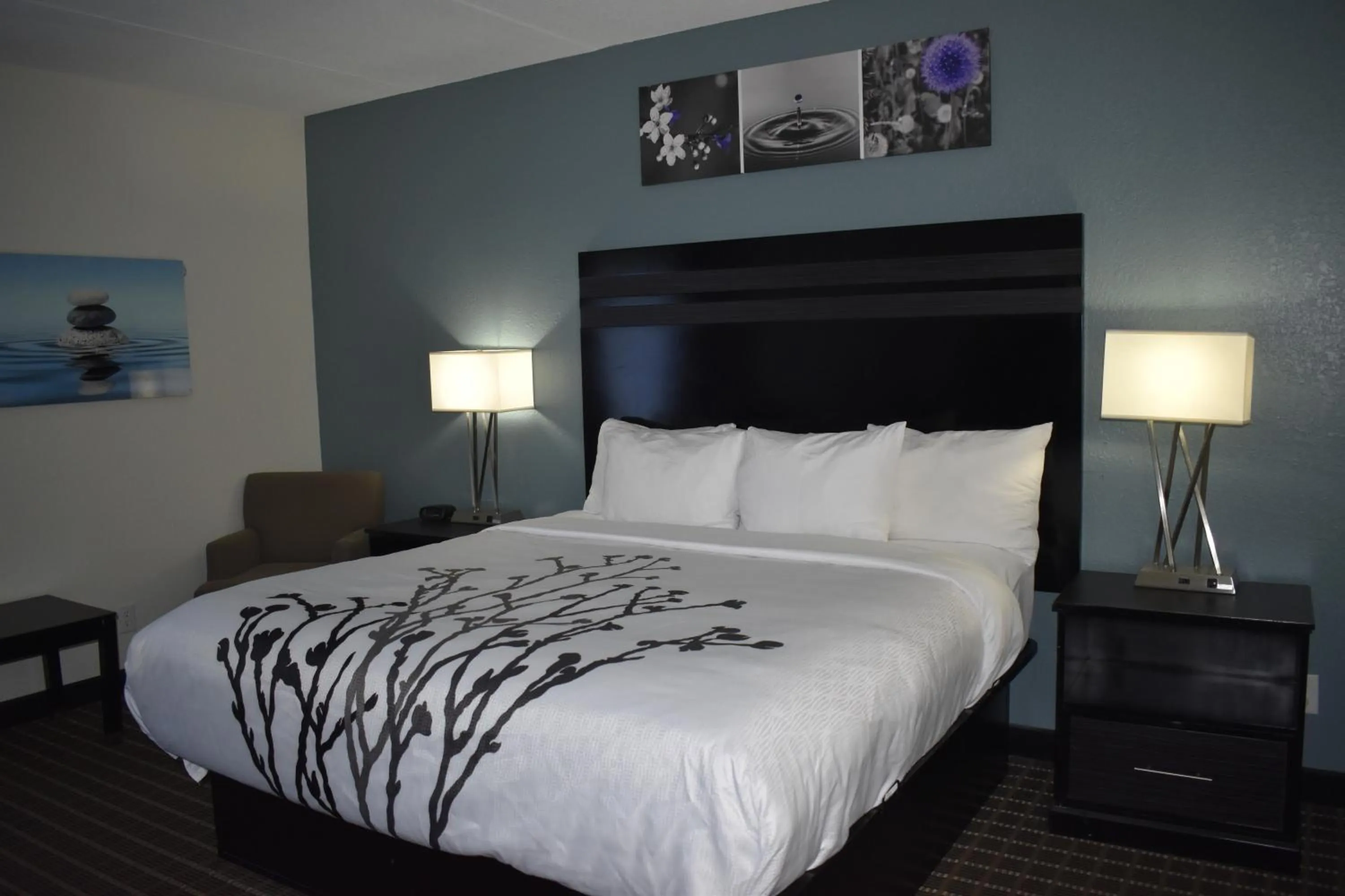 Bed in Sleep Inn & Suites West Knoxville