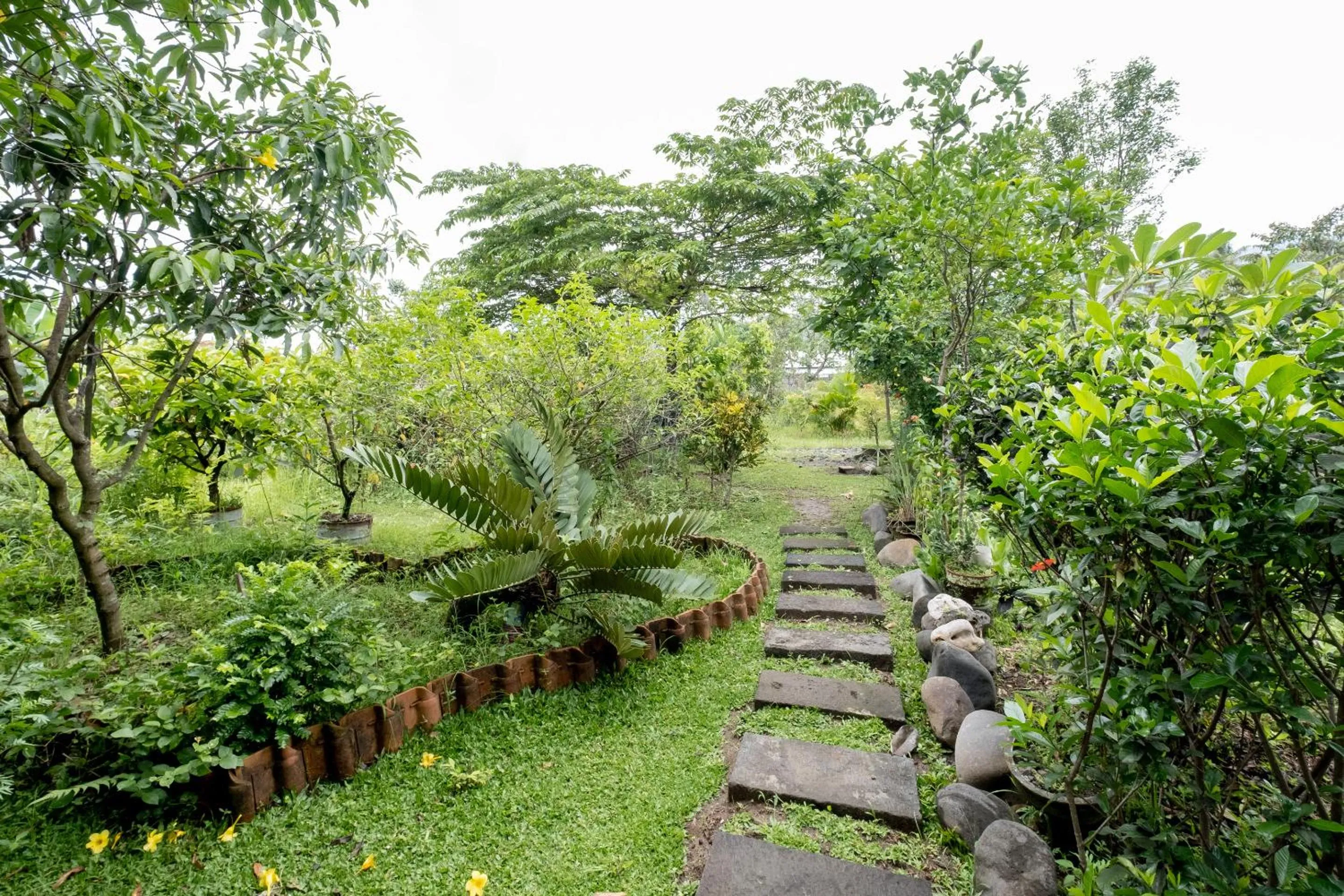 Garden in Mettaloka Guesthouse