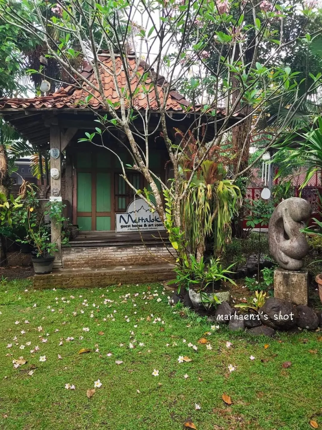 Garden in Mettaloka Guesthouse