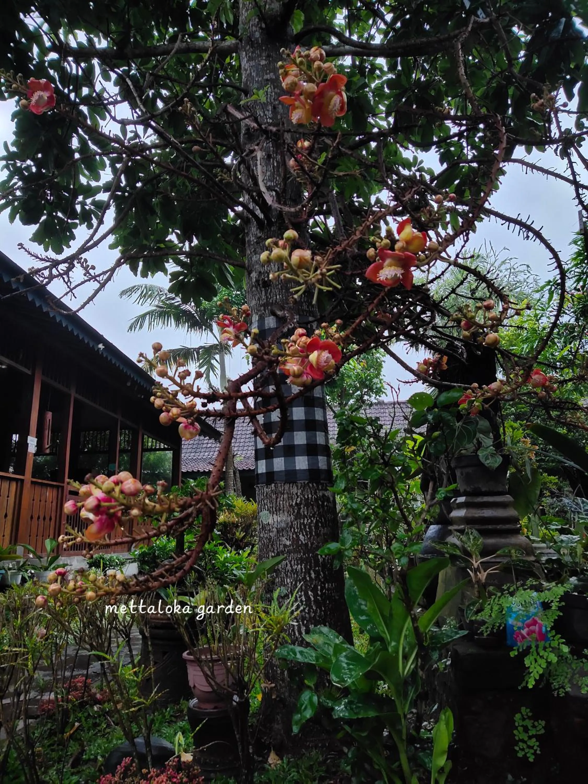 Mettaloka Guesthouse