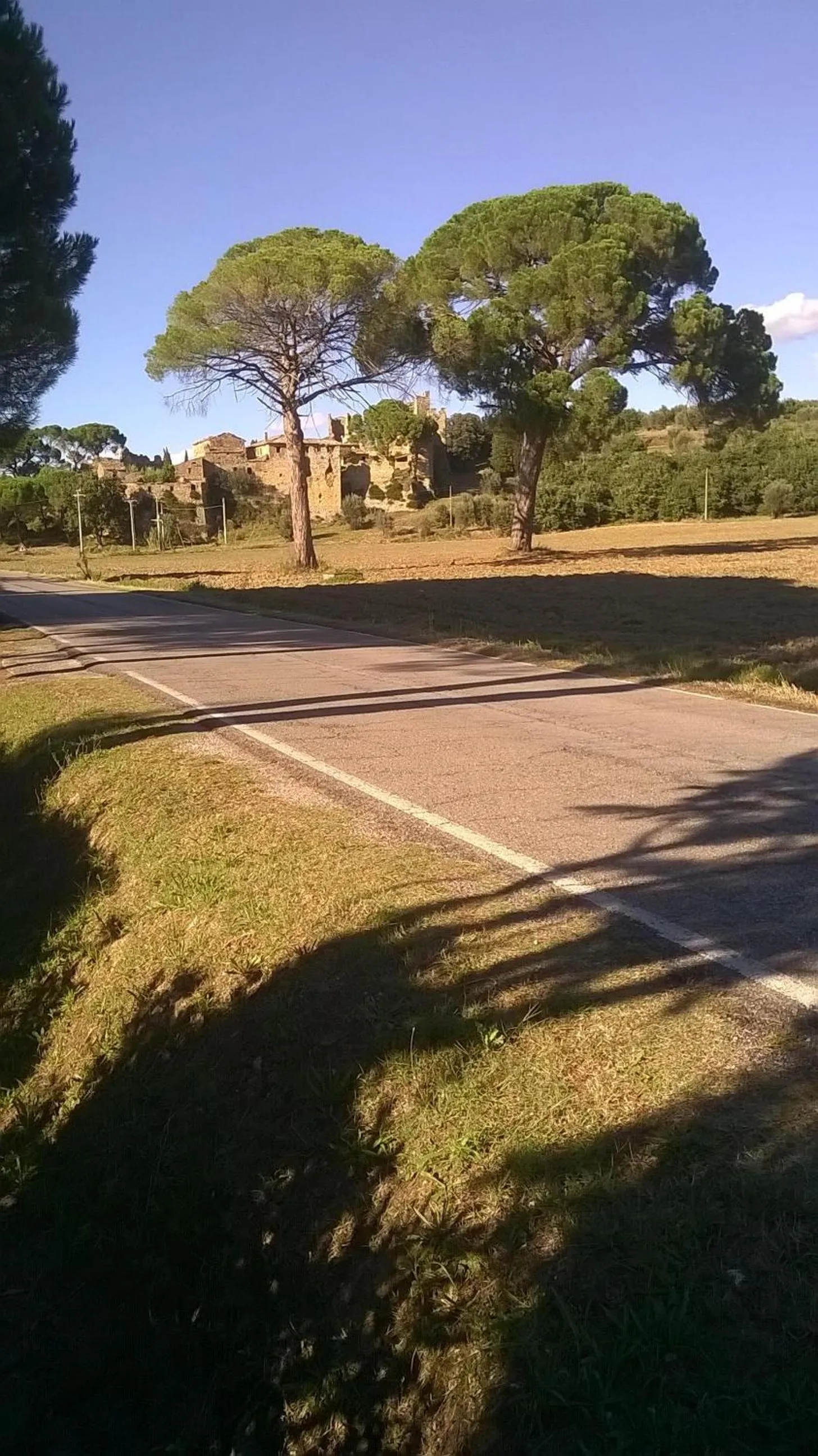 Nearby landmark in La Casetta Dei Cedri