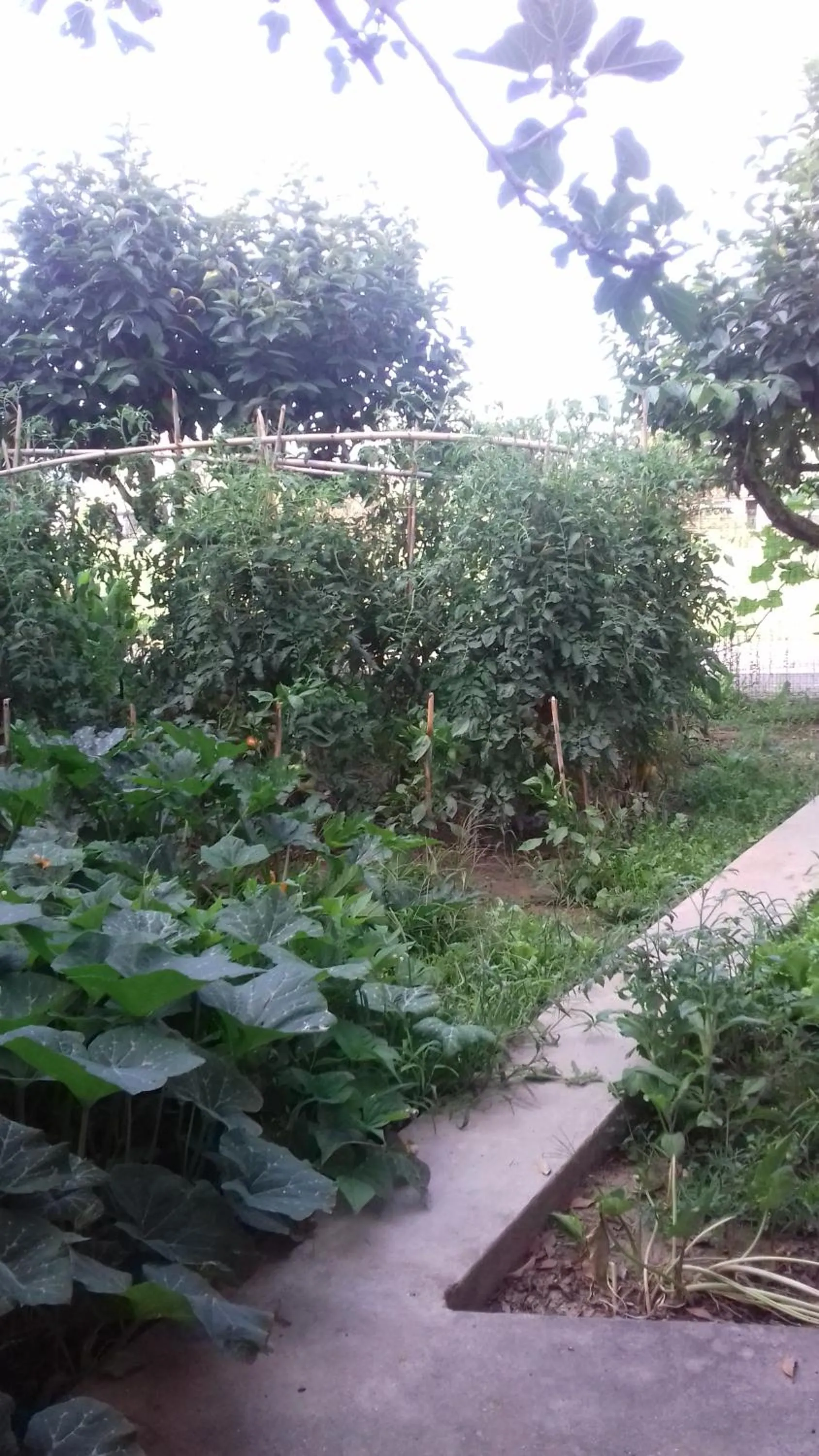 Decorative detail in La Casetta Dei Cedri