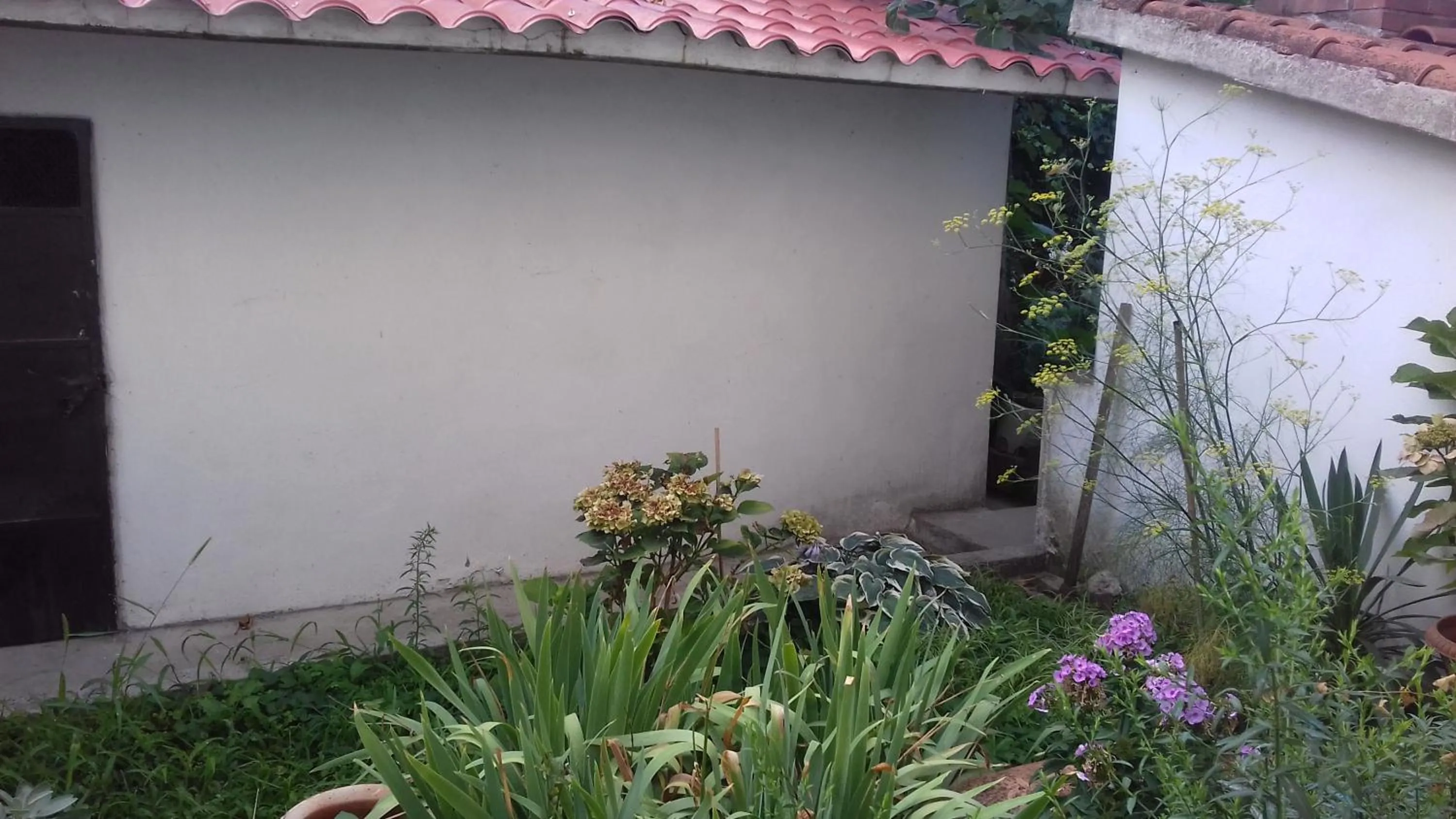 Decorative detail in La Casetta Dei Cedri