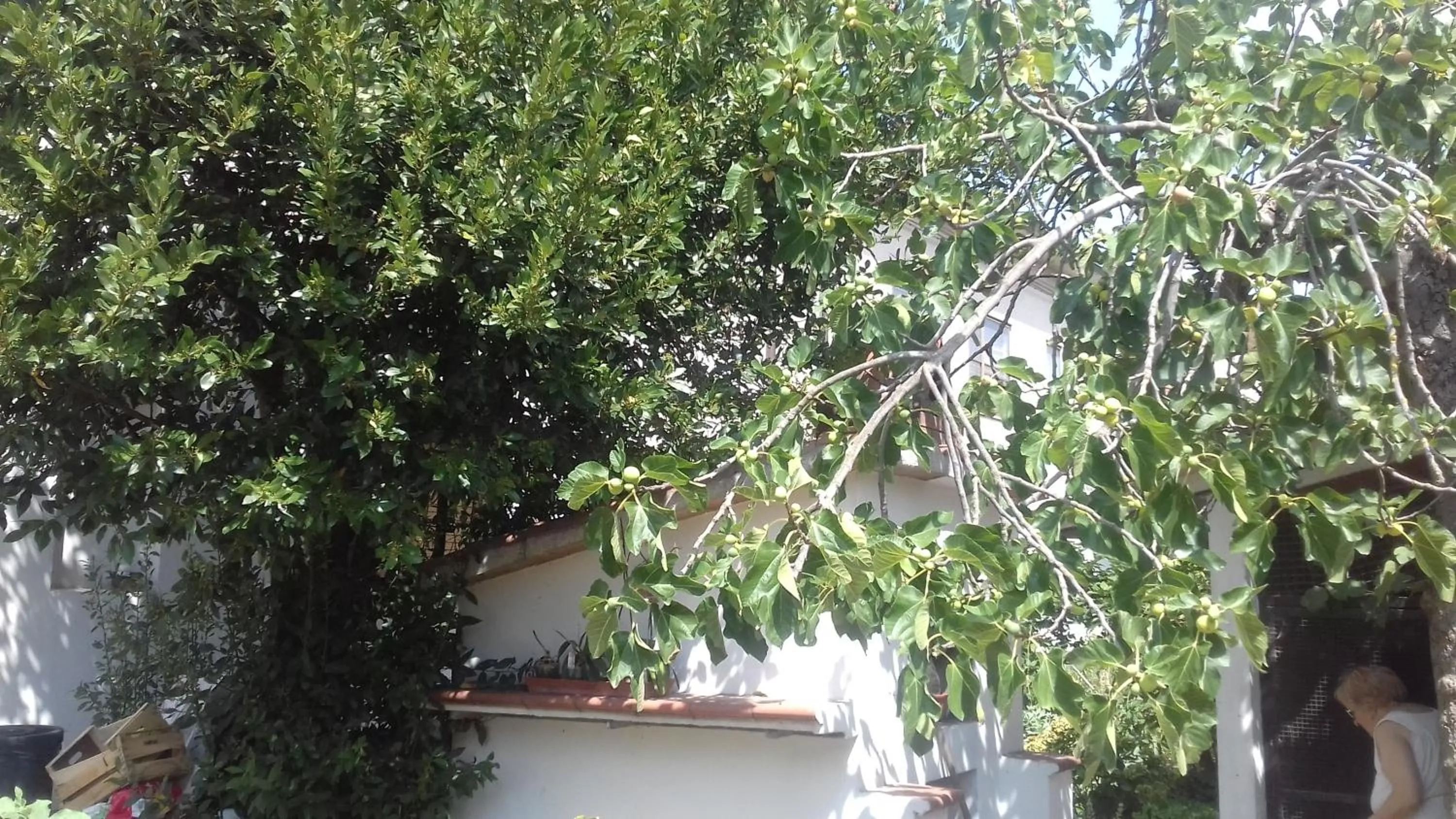 On site in La Casetta Dei Cedri