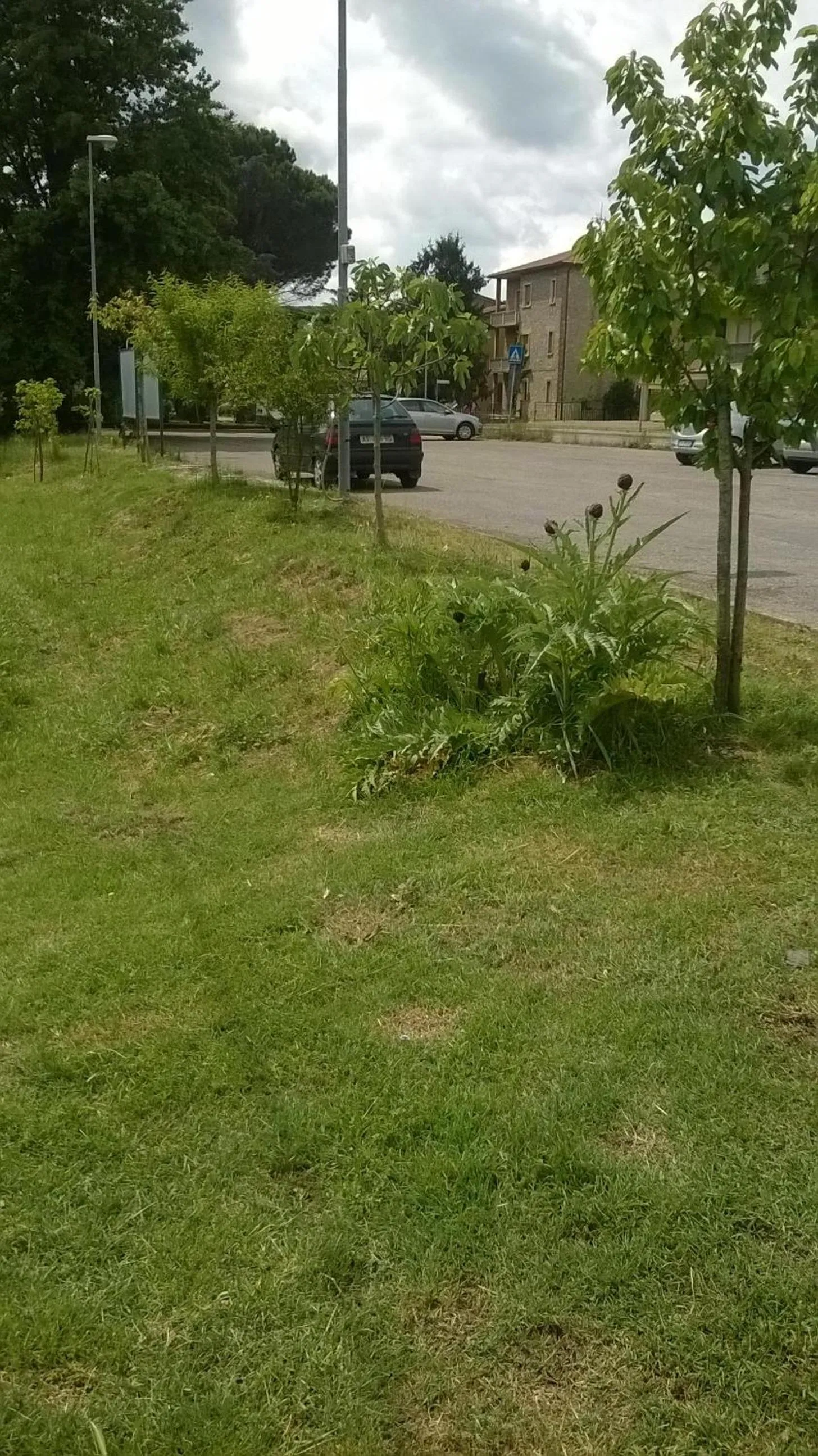 Facade/entrance in La Casetta Dei Cedri