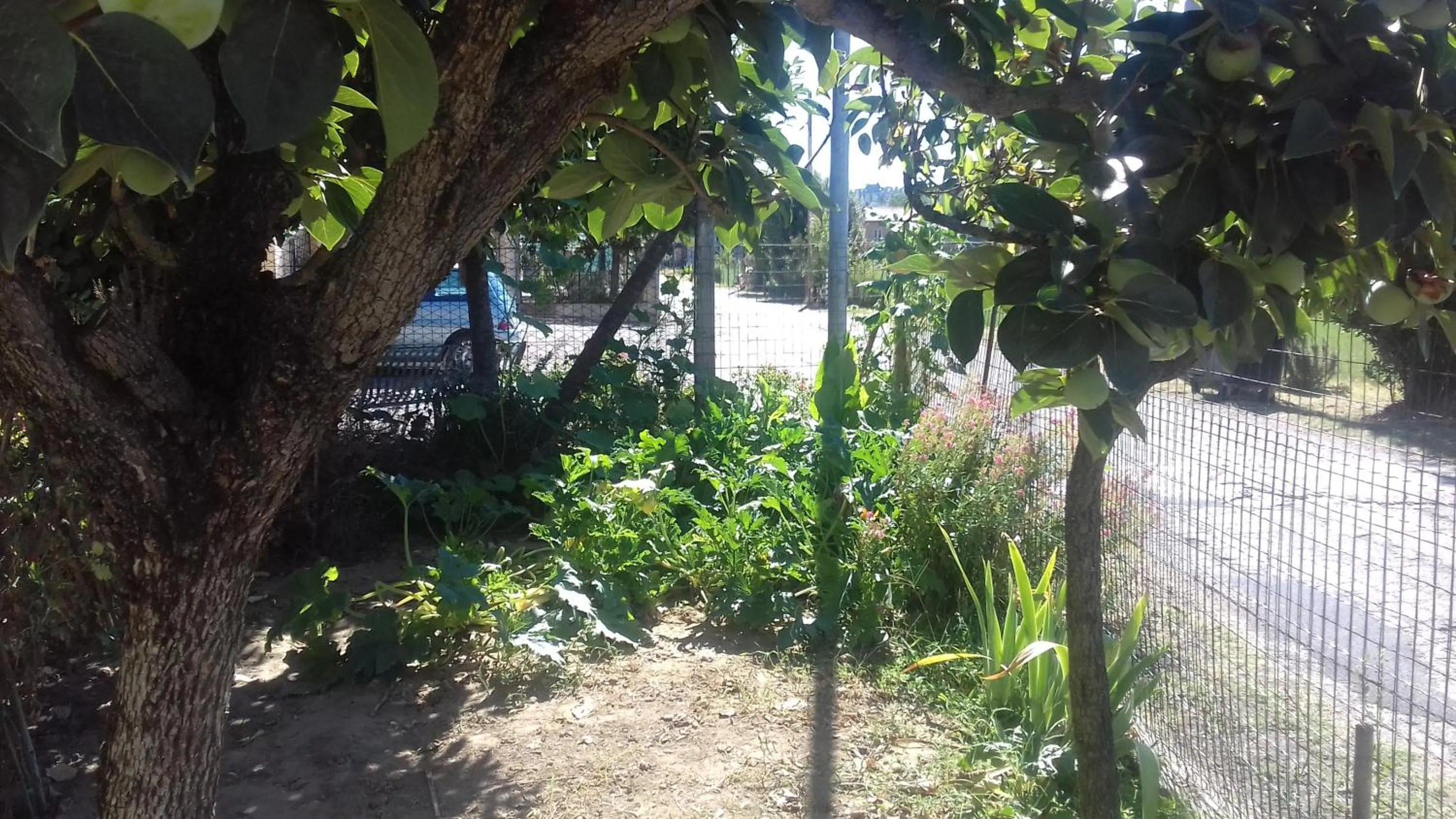 Decorative detail in La Casetta Dei Cedri