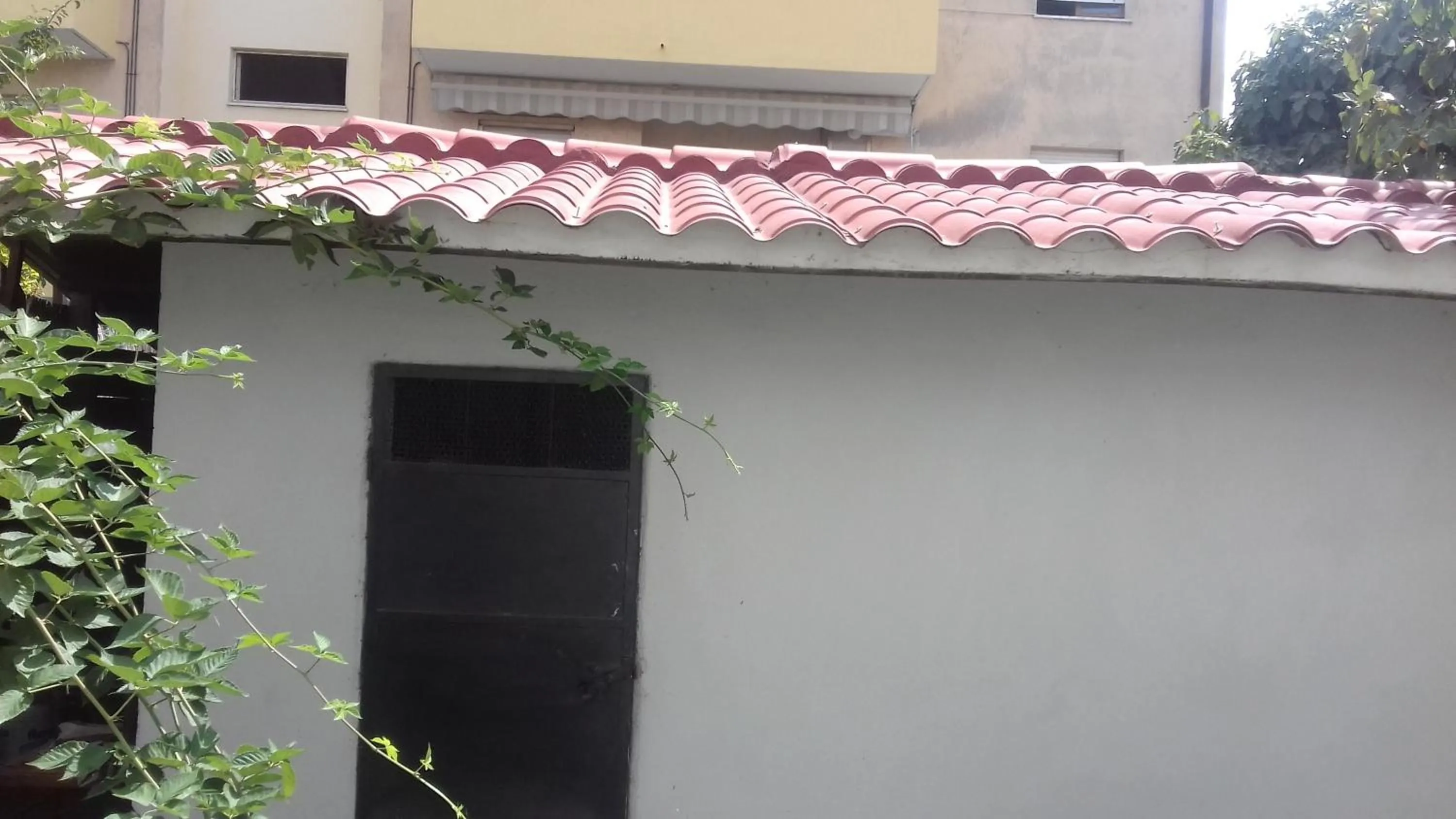 Garden in La Casetta Dei Cedri