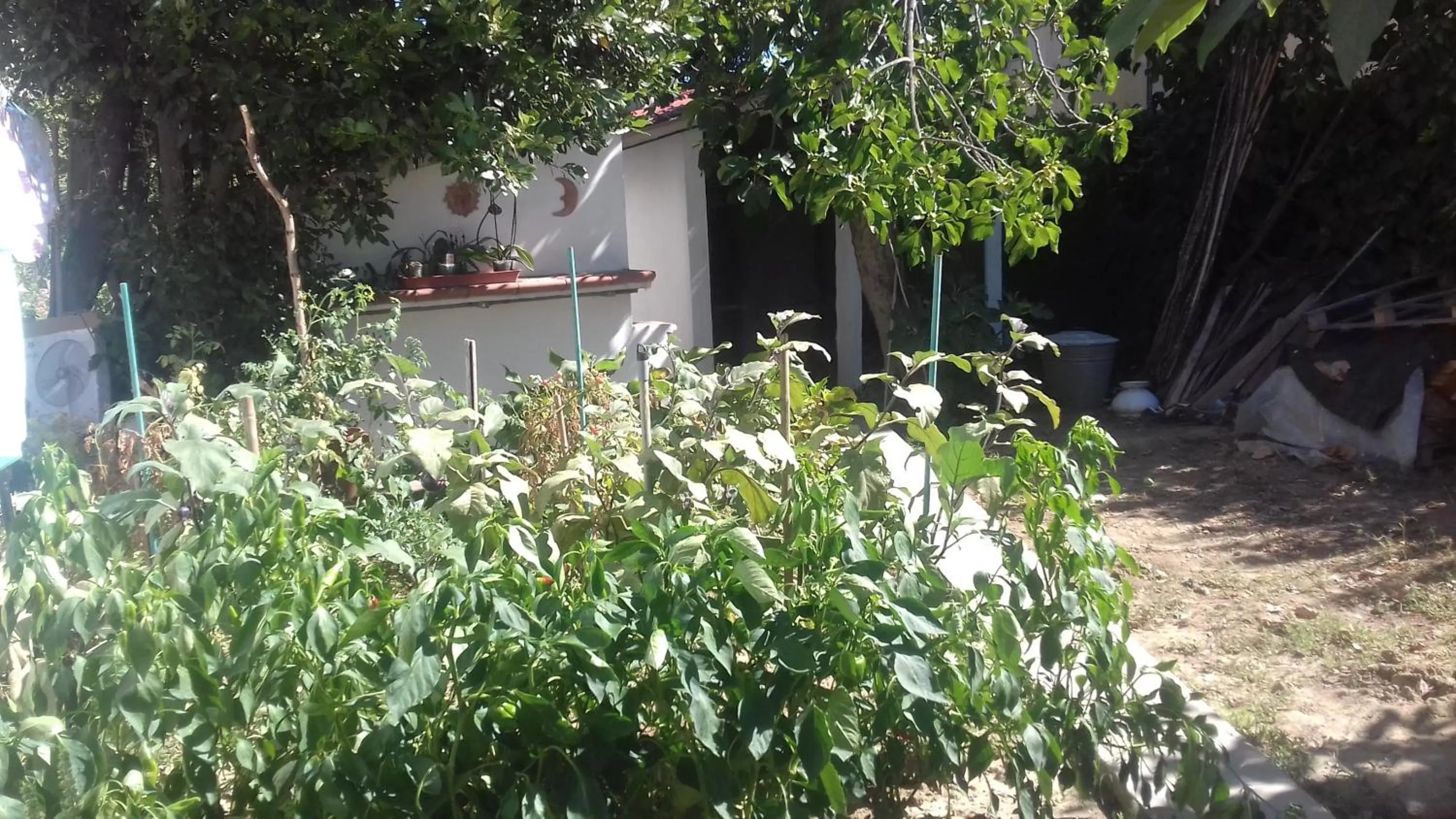 Restaurant/places to eat in La Casetta Dei Cedri