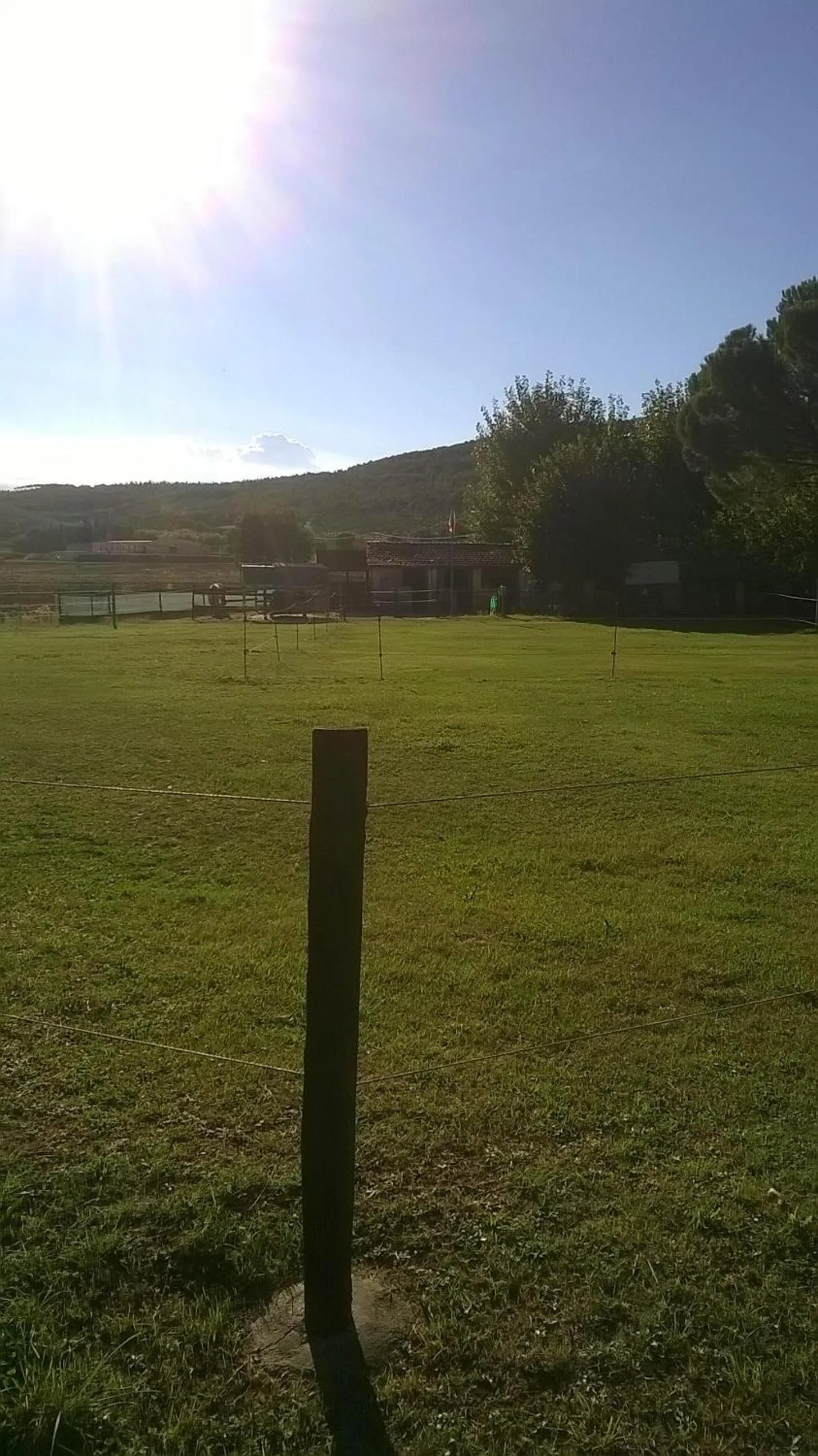 Horse-riding in La Casetta Dei Cedri