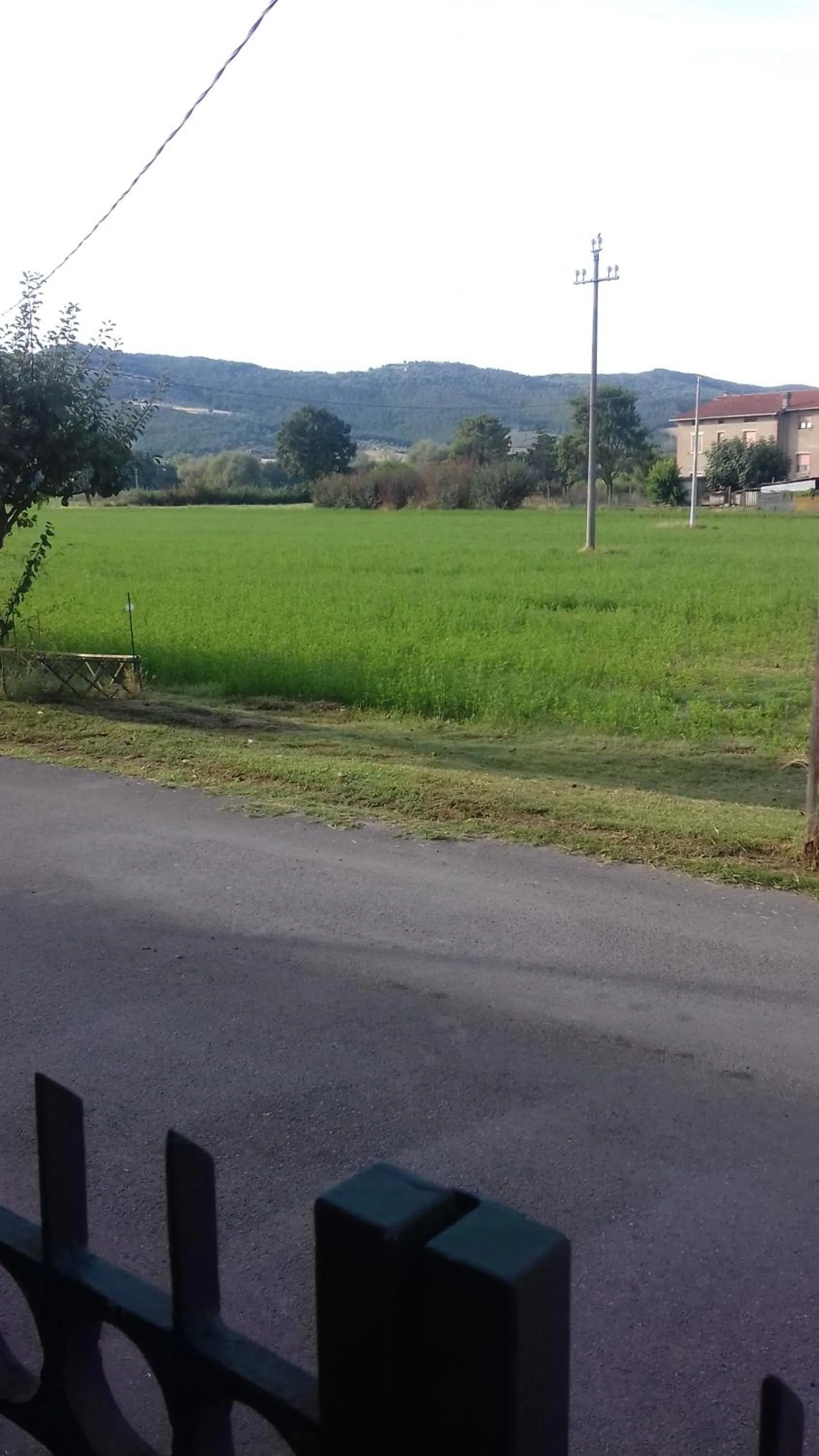 Hiking in La Casetta Dei Cedri