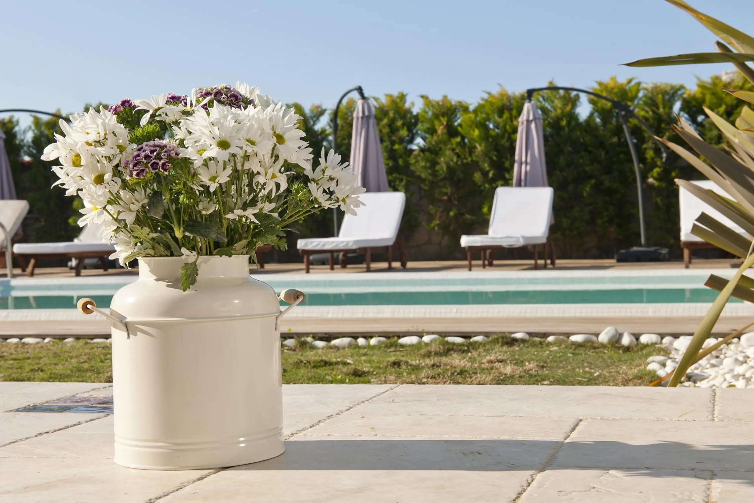 Pool view in Sade Alacati Hotel