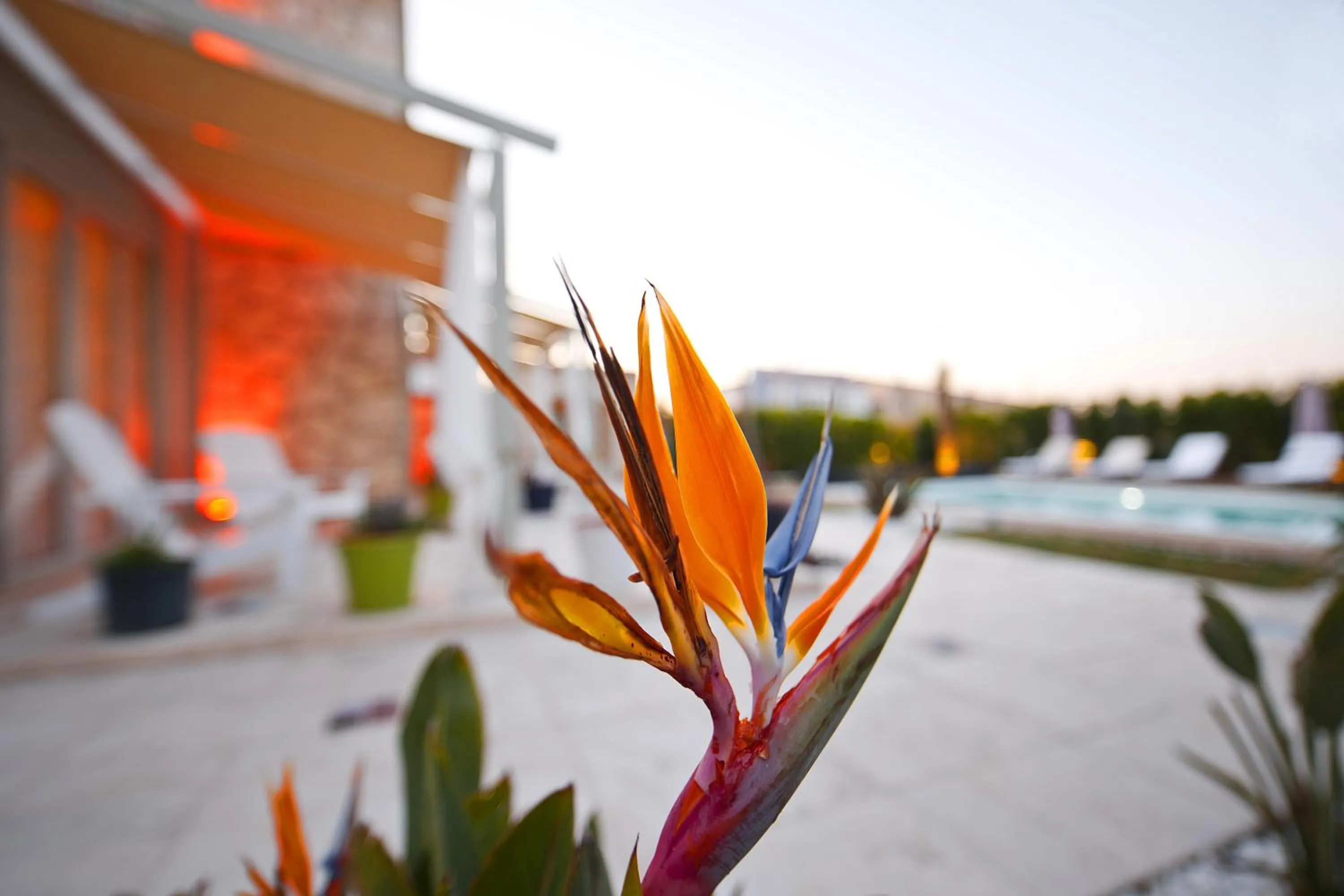 Garden view in Sade Alacati Hotel