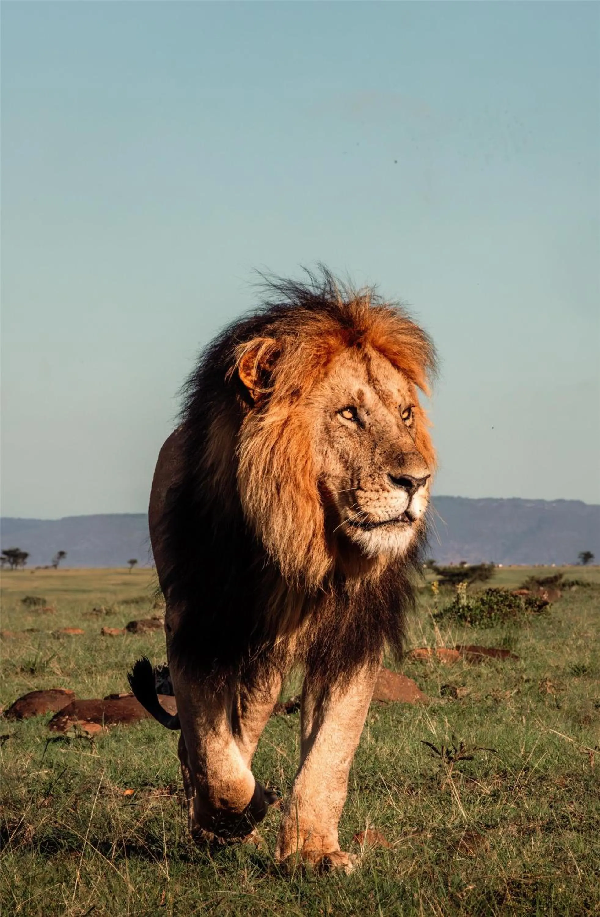 Other in Olare Mara Kempinski